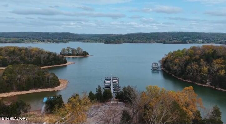 Lot 75 E Shore Drive Rockwood TN 37854