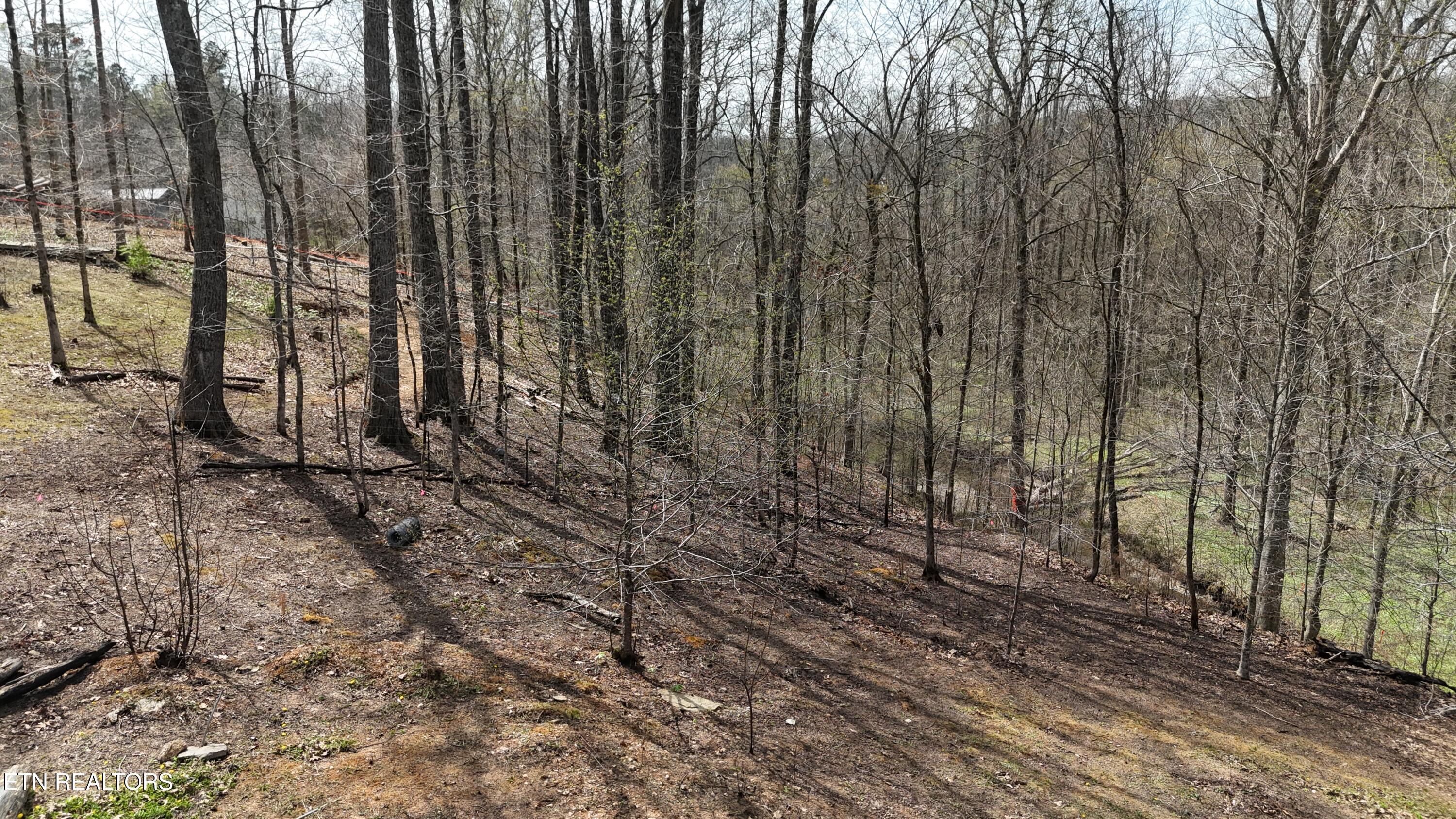 561 Geren Subd Lane Decatur TN 37322