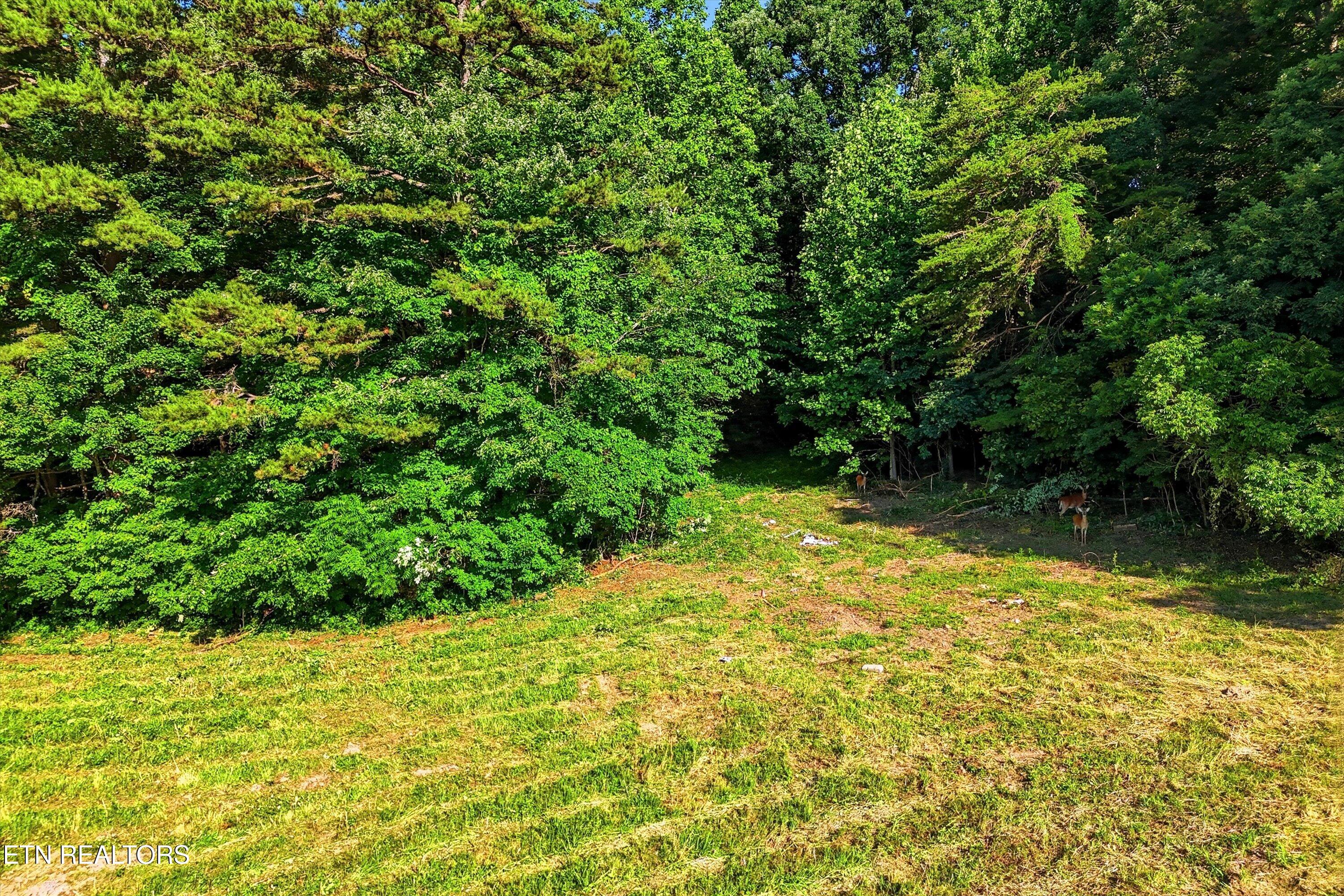 0 Daniels Road Knoxville TN 37938