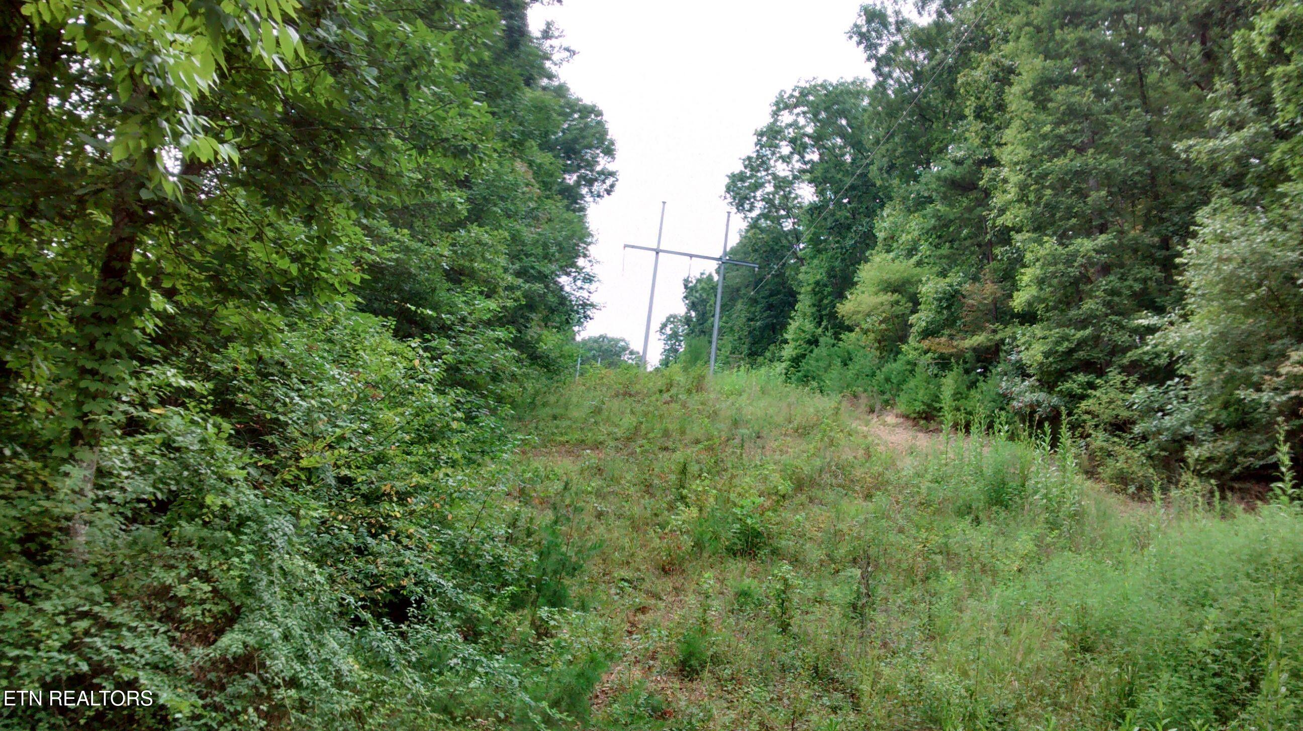 Tuskegee Drive Oak Ridge TN 37830
