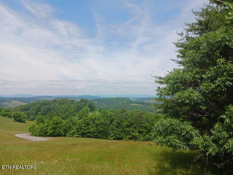 Lot 28 Topaz Lane New Tazewell TN 37825