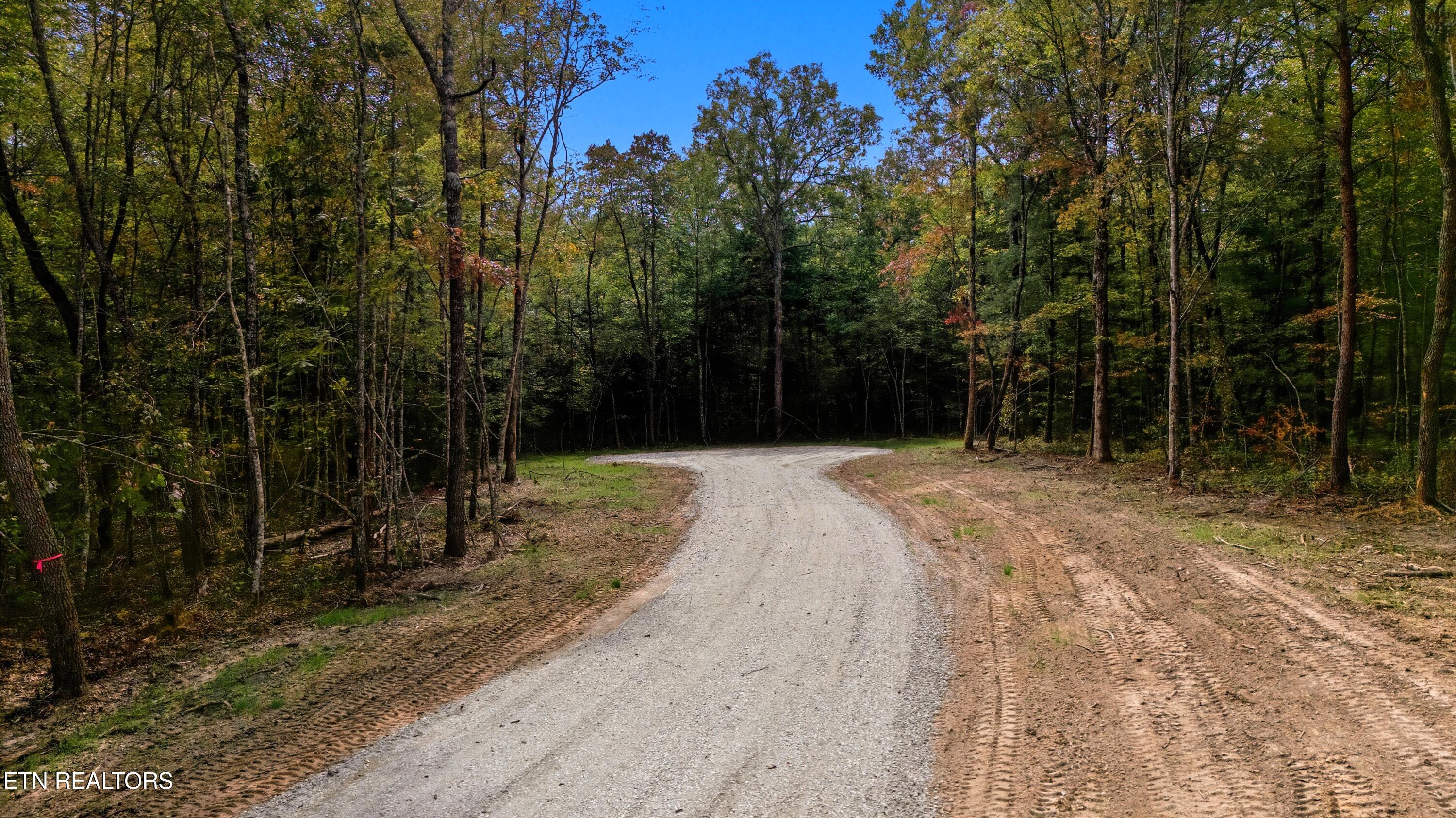 Nashville Avenue Deer Lodge TN 37726