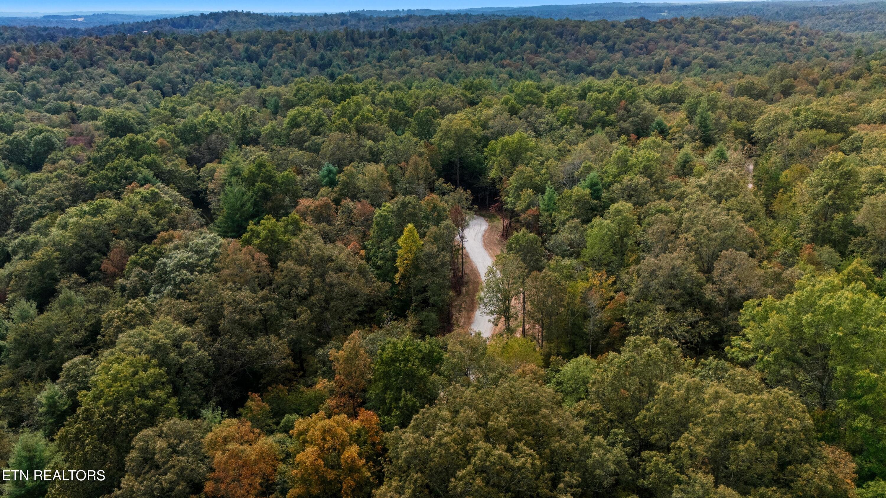 Nashville Avenue Deer Lodge TN 37726