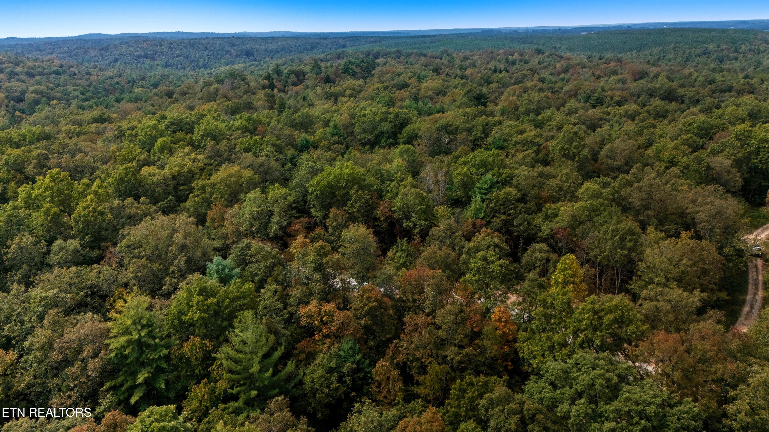 Nashville Avenue Deer Lodge TN 37726