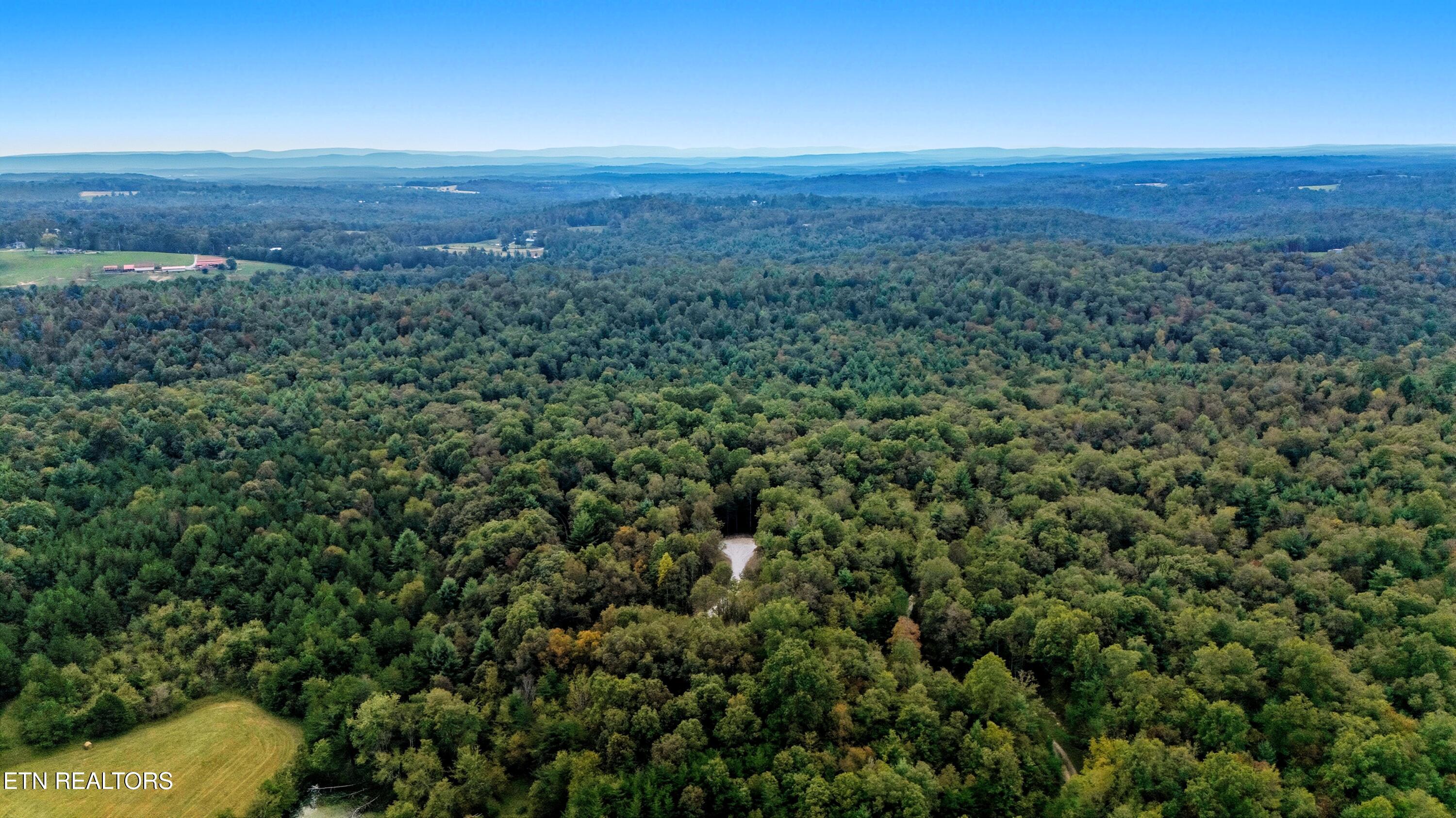 Nashville Avenue Deer Lodge TN 37726