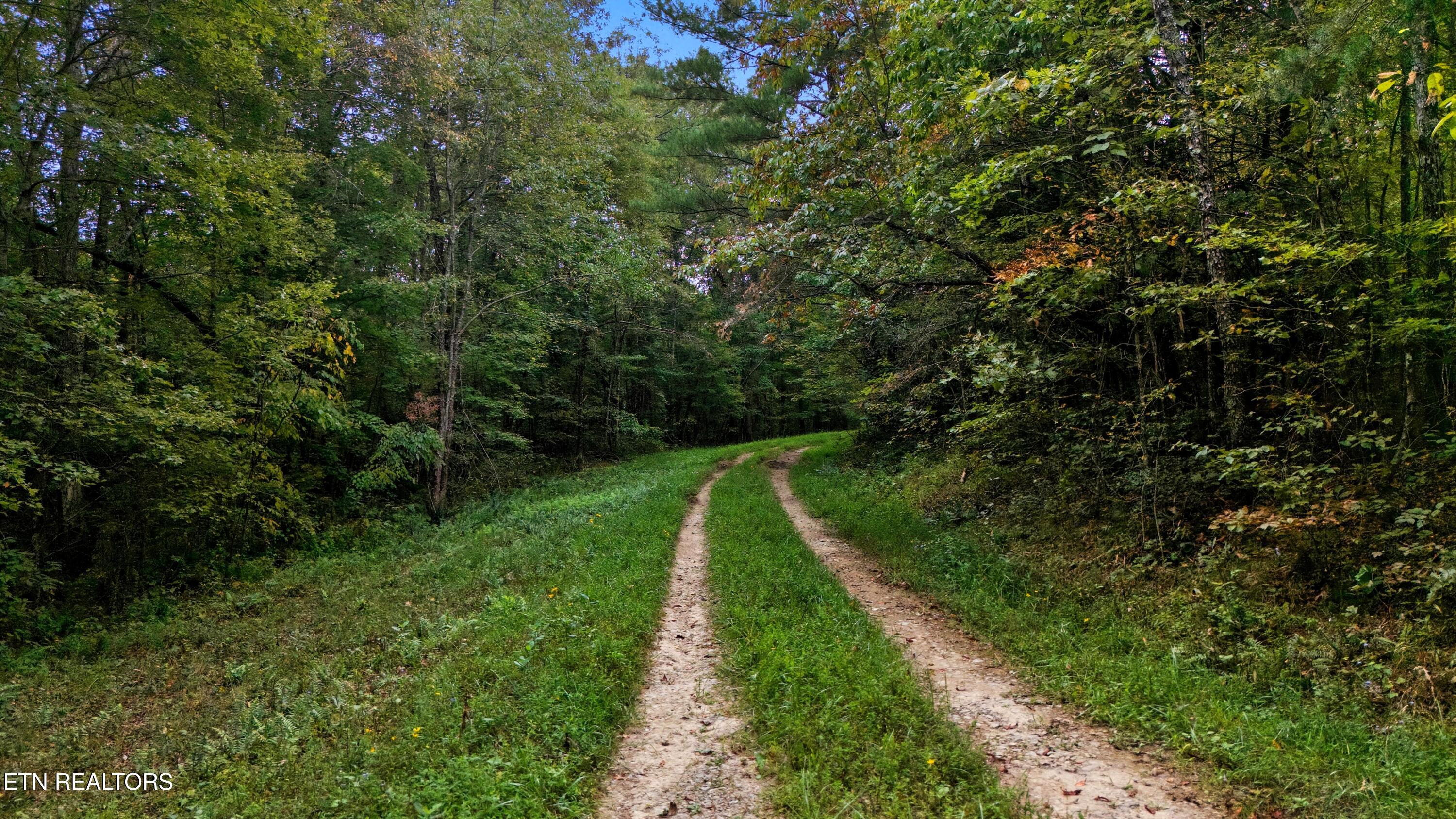 Nashville Avenue Deer Lodge TN 37726