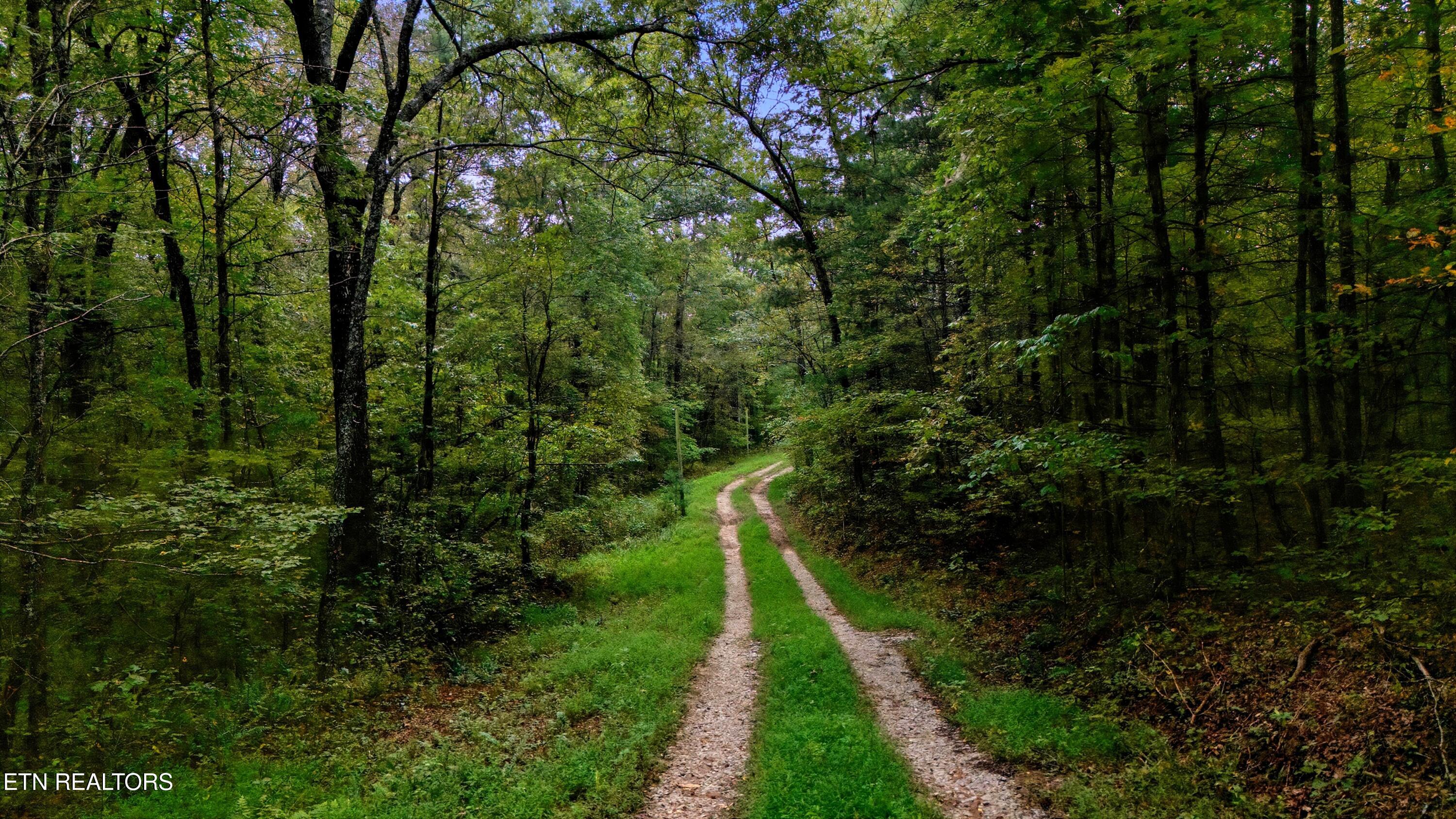 Nashville Avenue Deer Lodge TN 37726