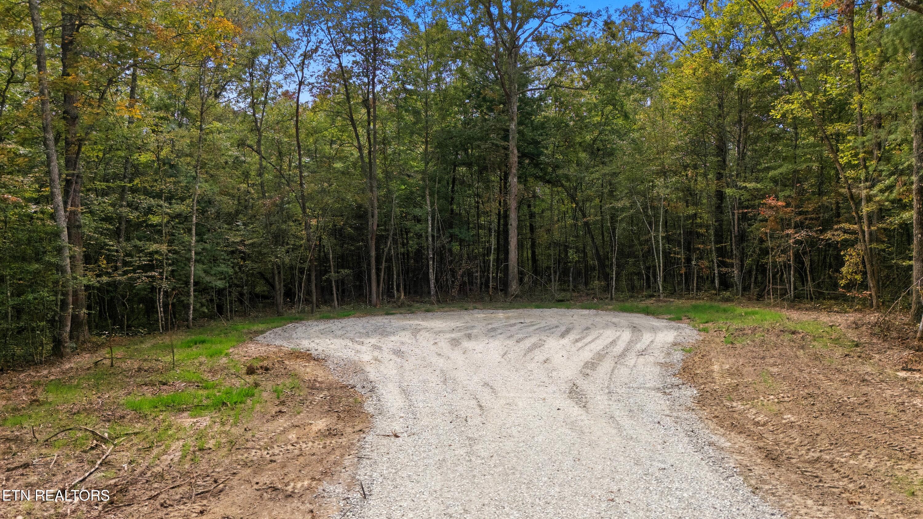 Nashville Avenue Deer Lodge TN 37726