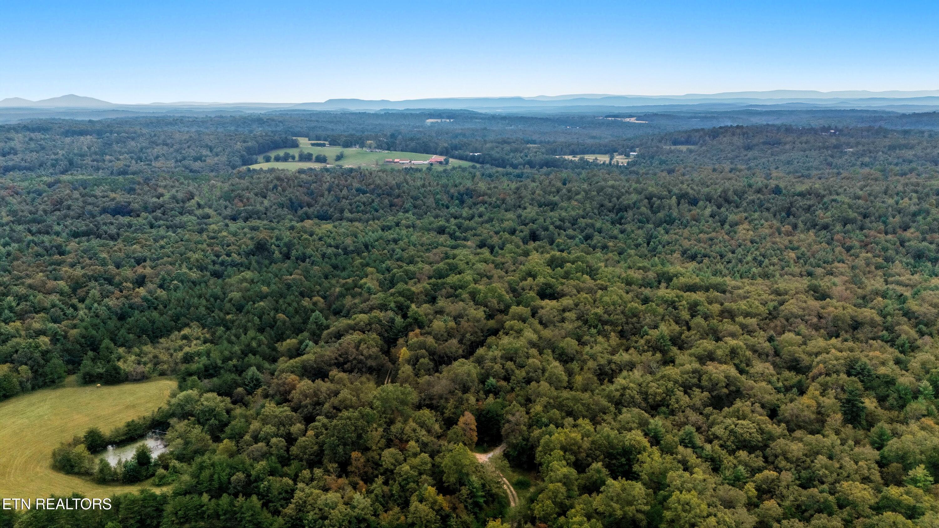 Nashville Avenue Deer Lodge TN 37726