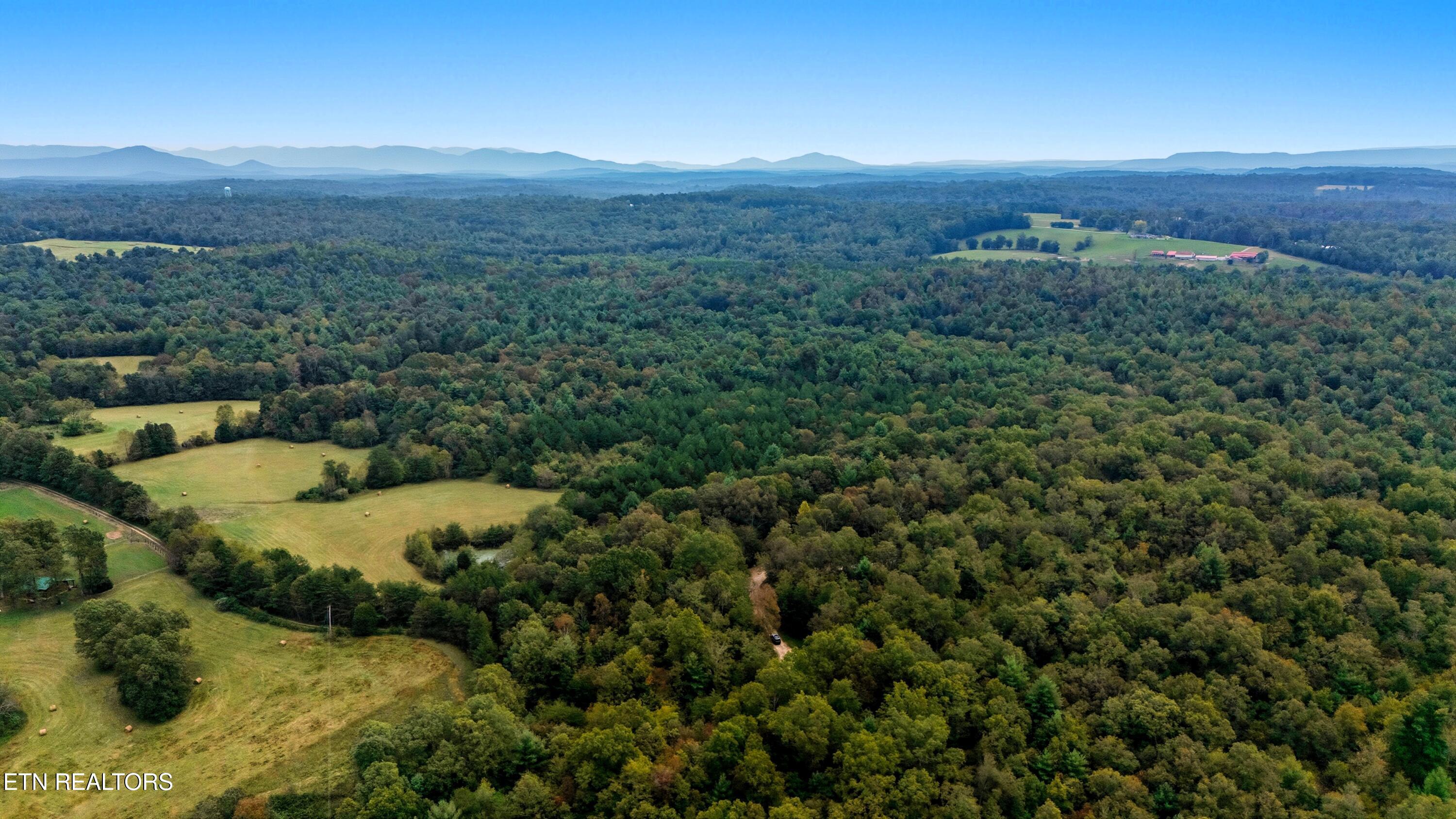 Nashville Avenue Deer Lodge TN 37726