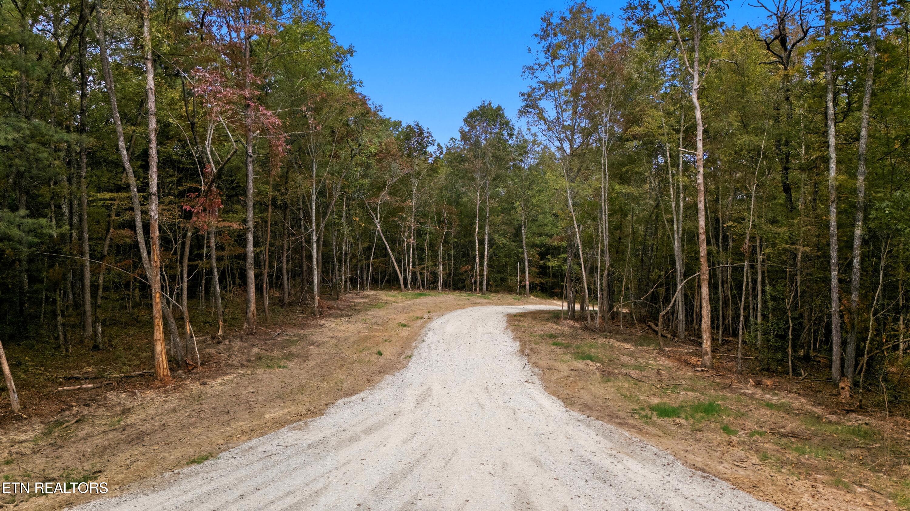 Nashville Avenue Deer Lodge TN 37726