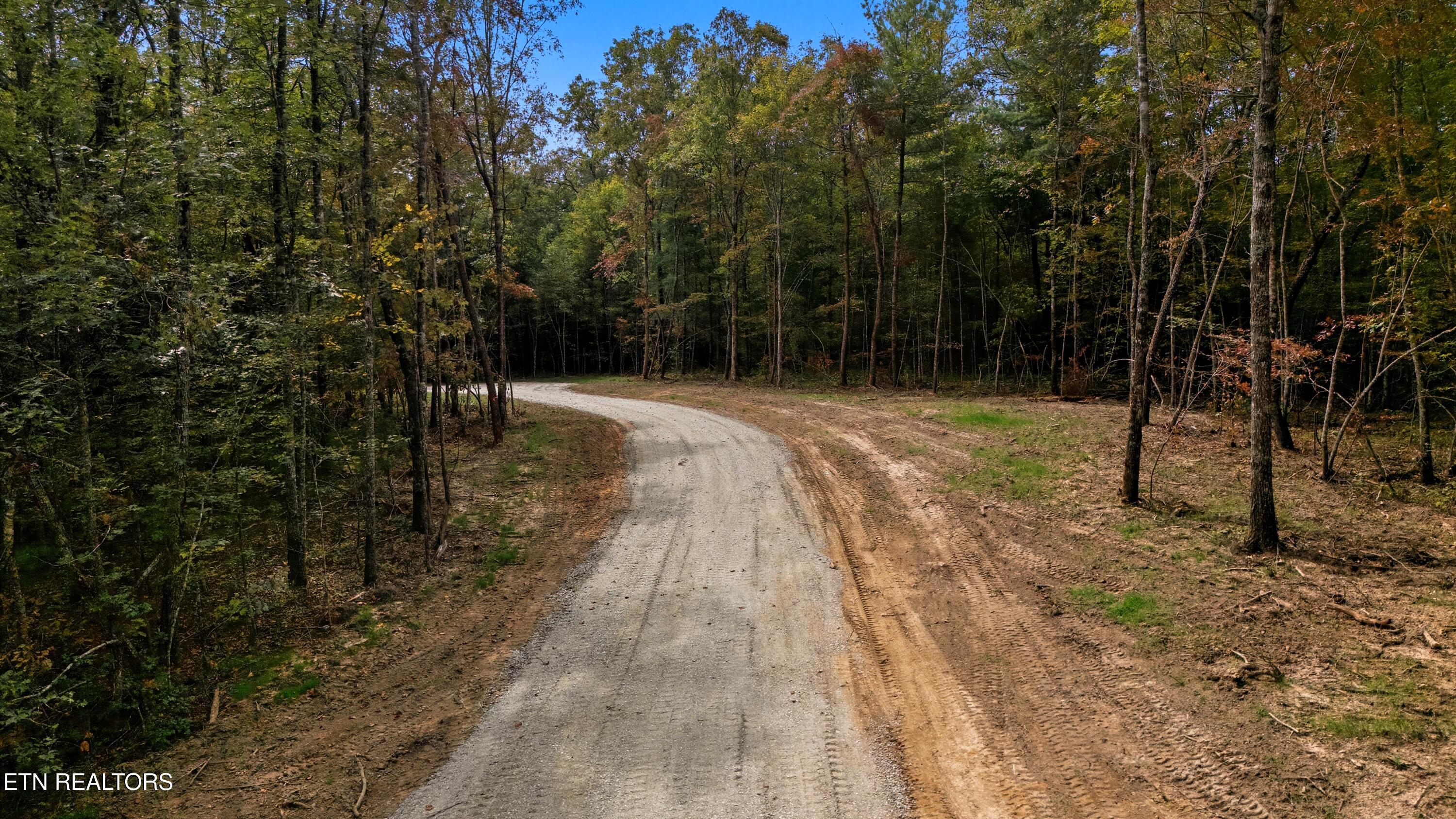 Nashville Avenue Deer Lodge TN 37726