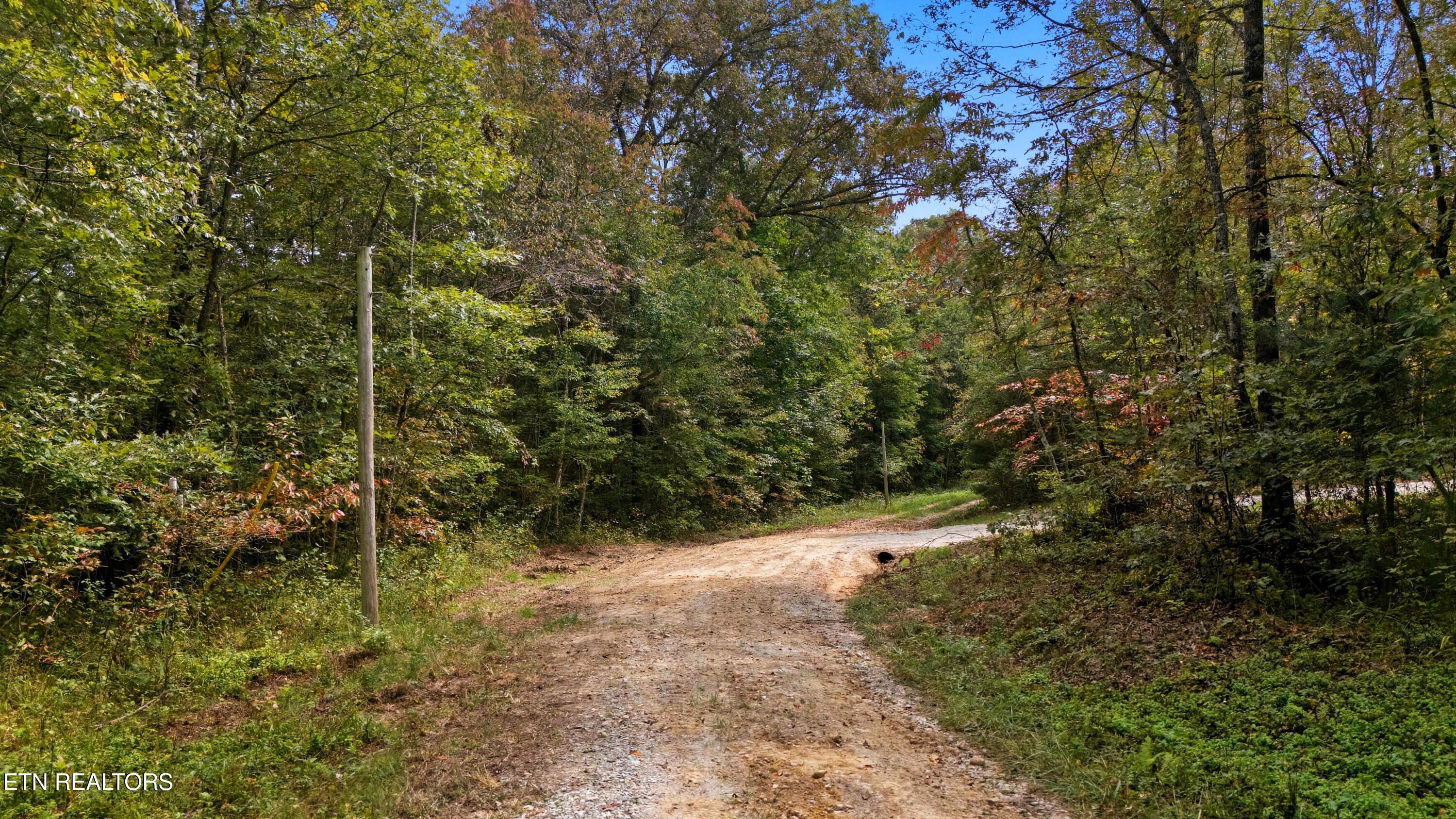 Nashville Avenue Deer Lodge TN 37726