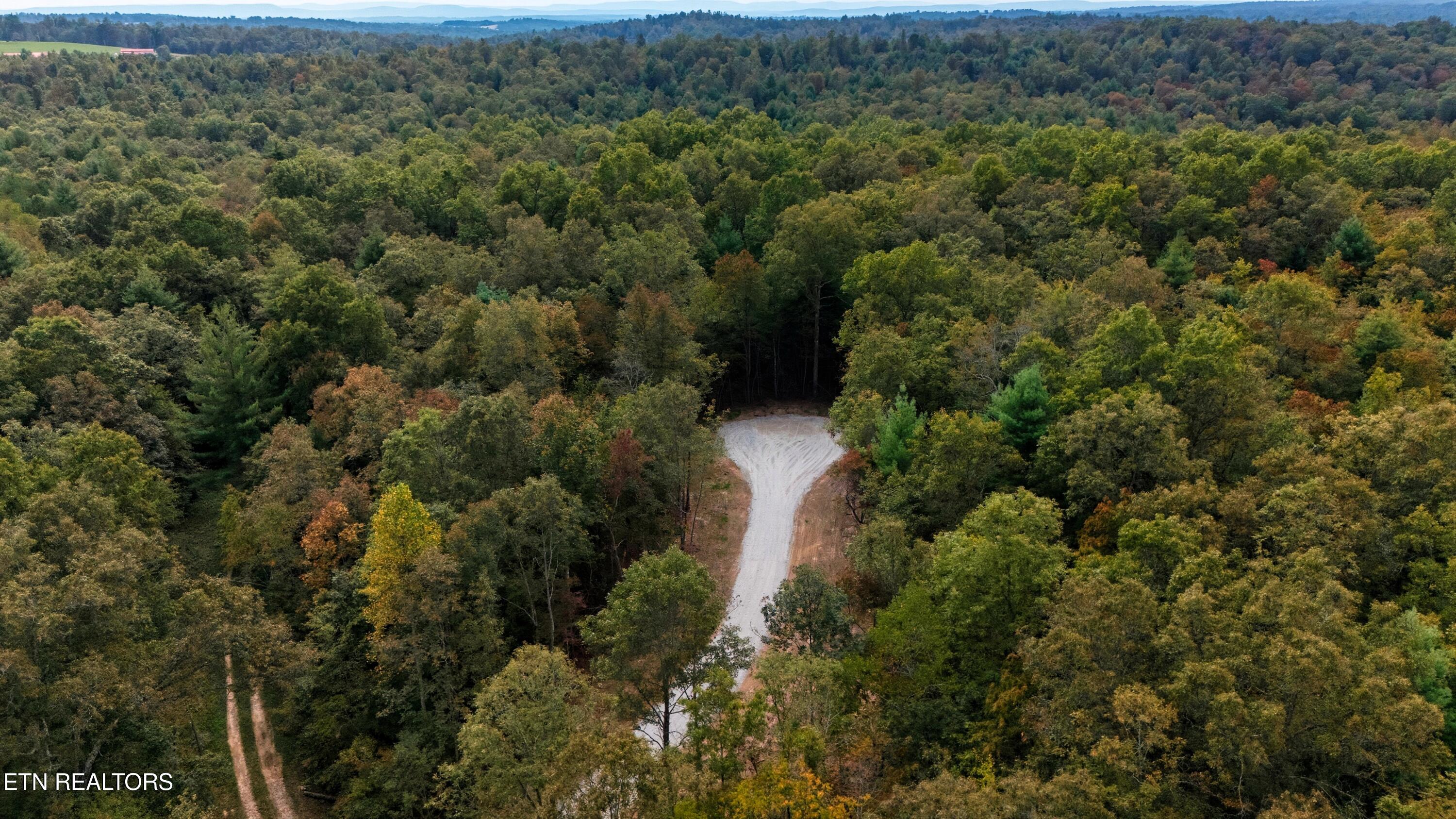 Nashville Avenue Deer Lodge TN 37726