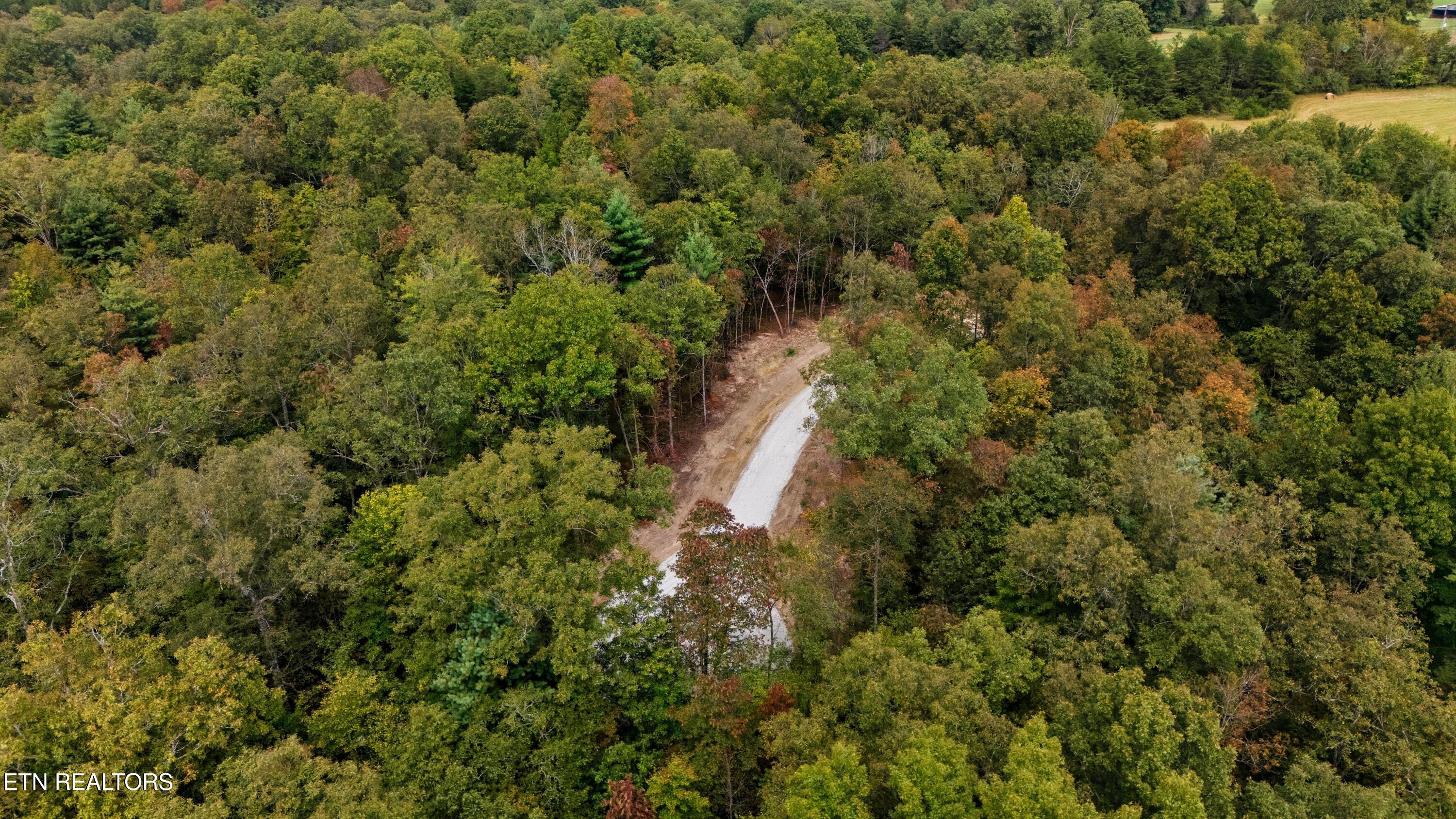 Nashville Avenue Deer Lodge TN 37726