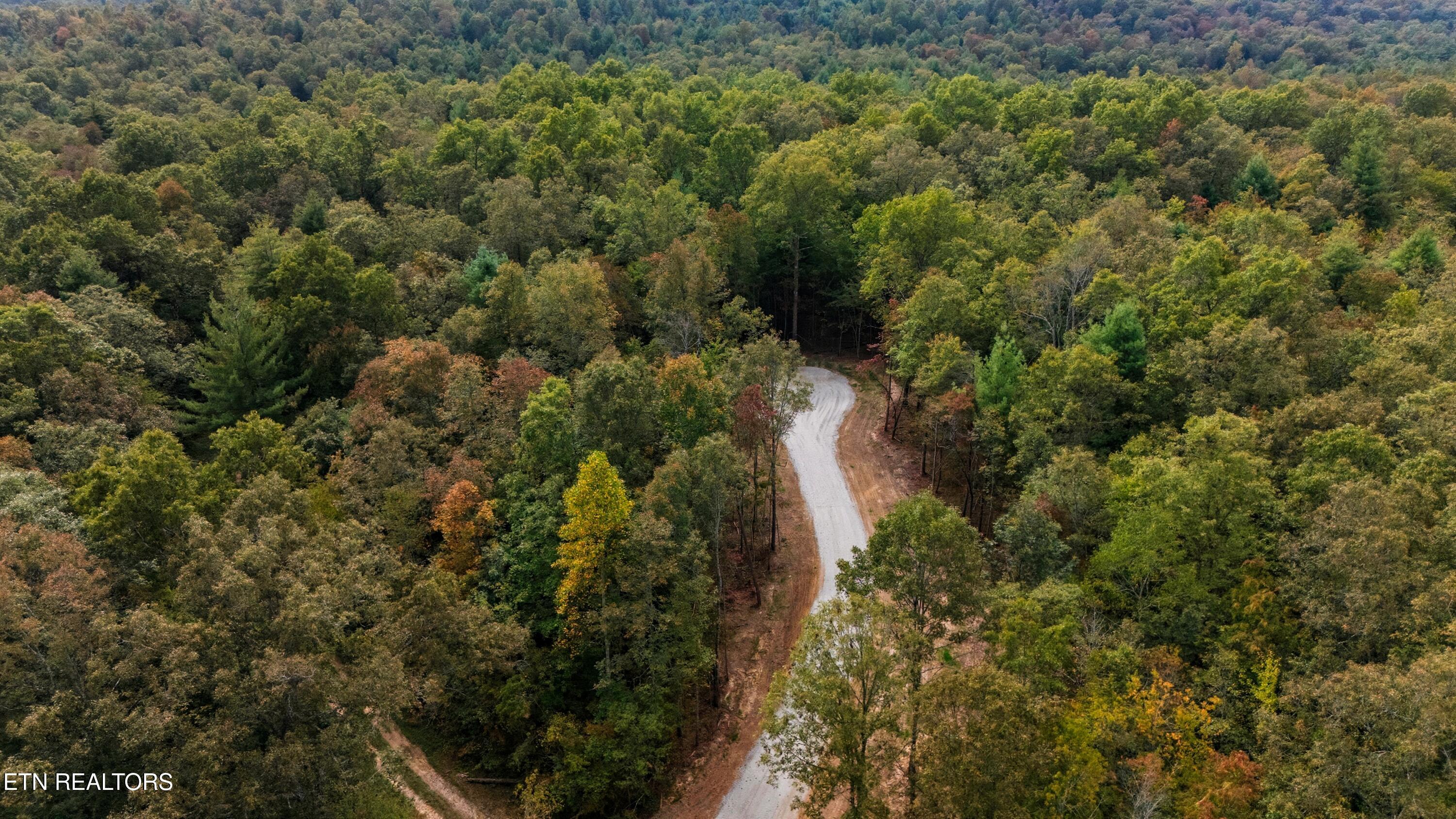 Nashville Avenue Deer Lodge TN 37726
