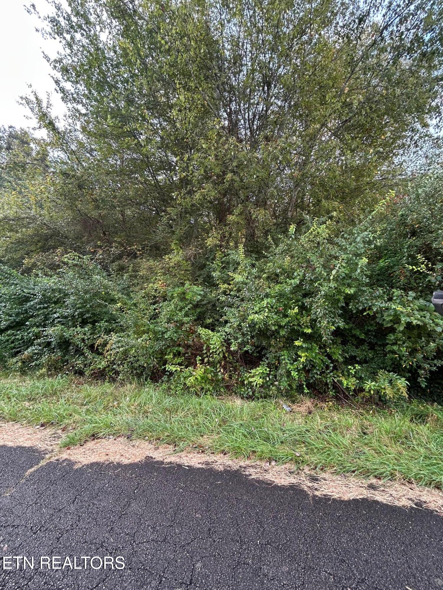 Crestview Loop Crossville TN 38571