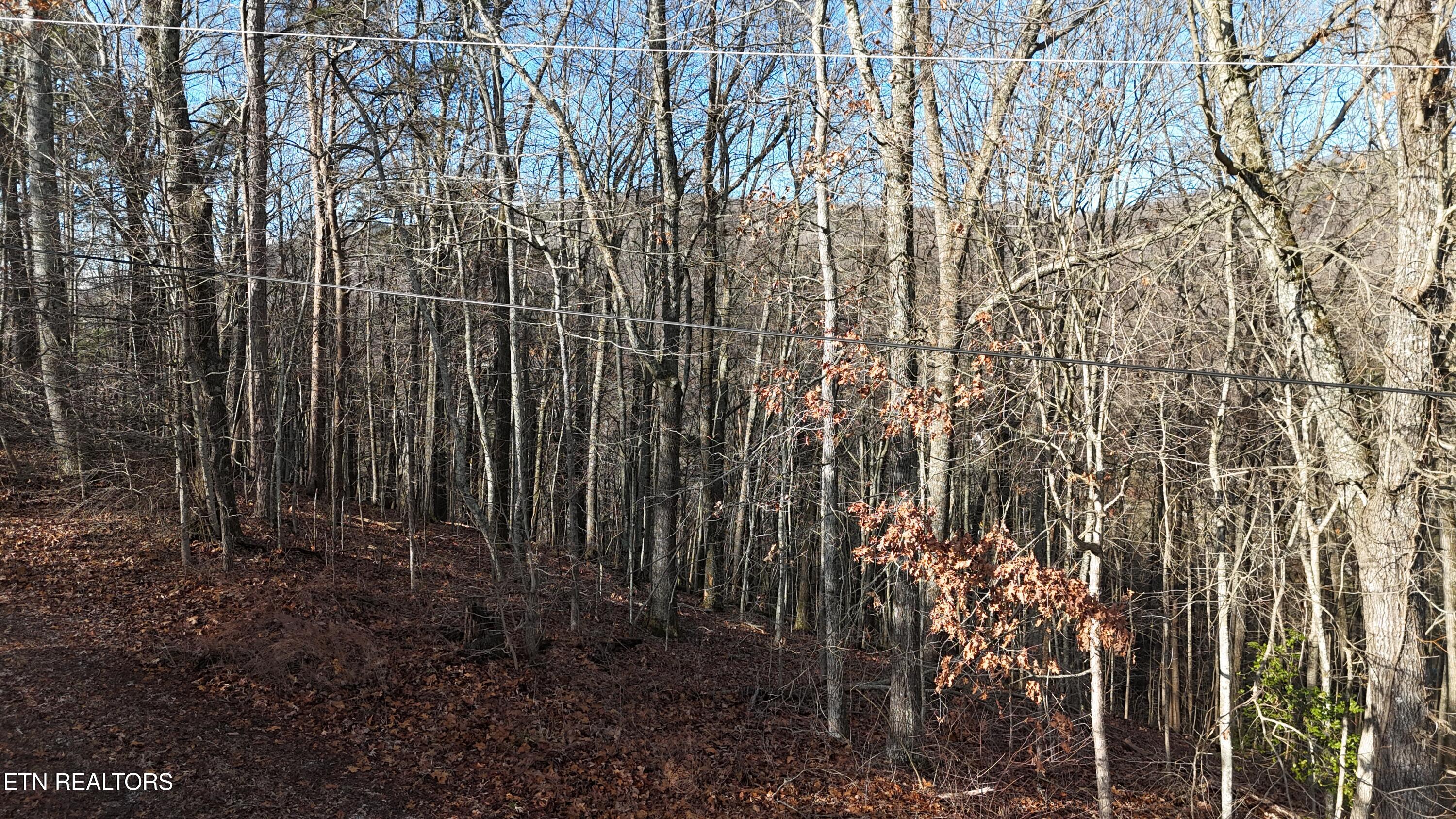 822 W Bates Street Rockwood TN 37854