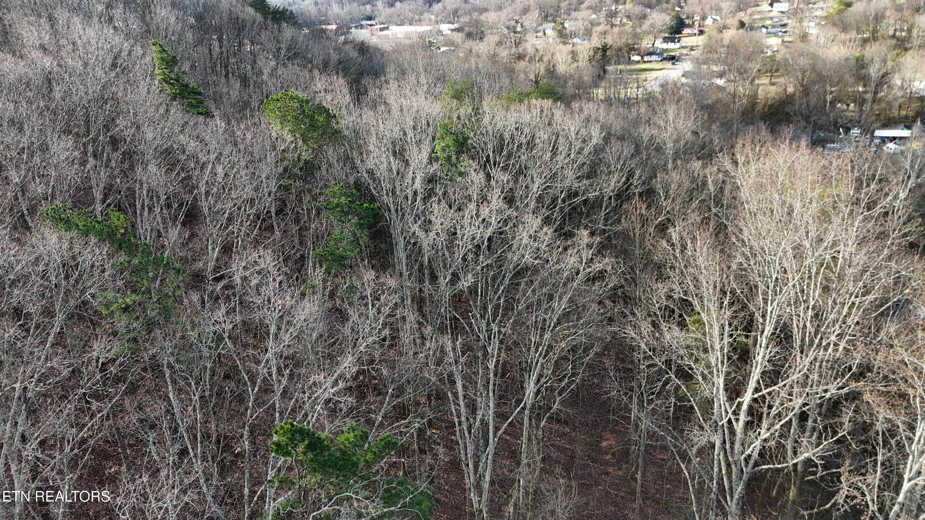822 W Bates Street Rockwood TN 37854