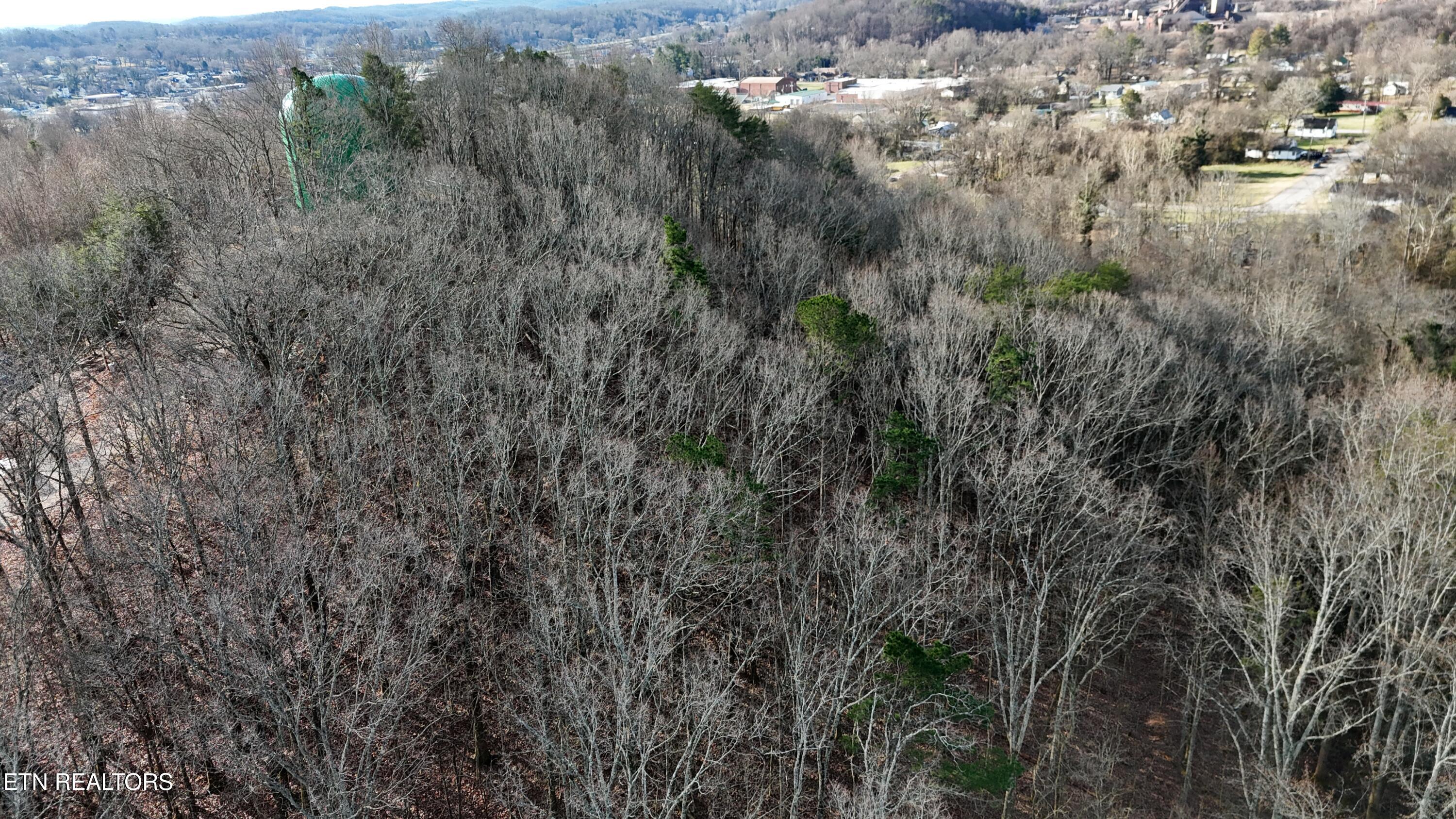 822 W Bates Street Rockwood TN 37854