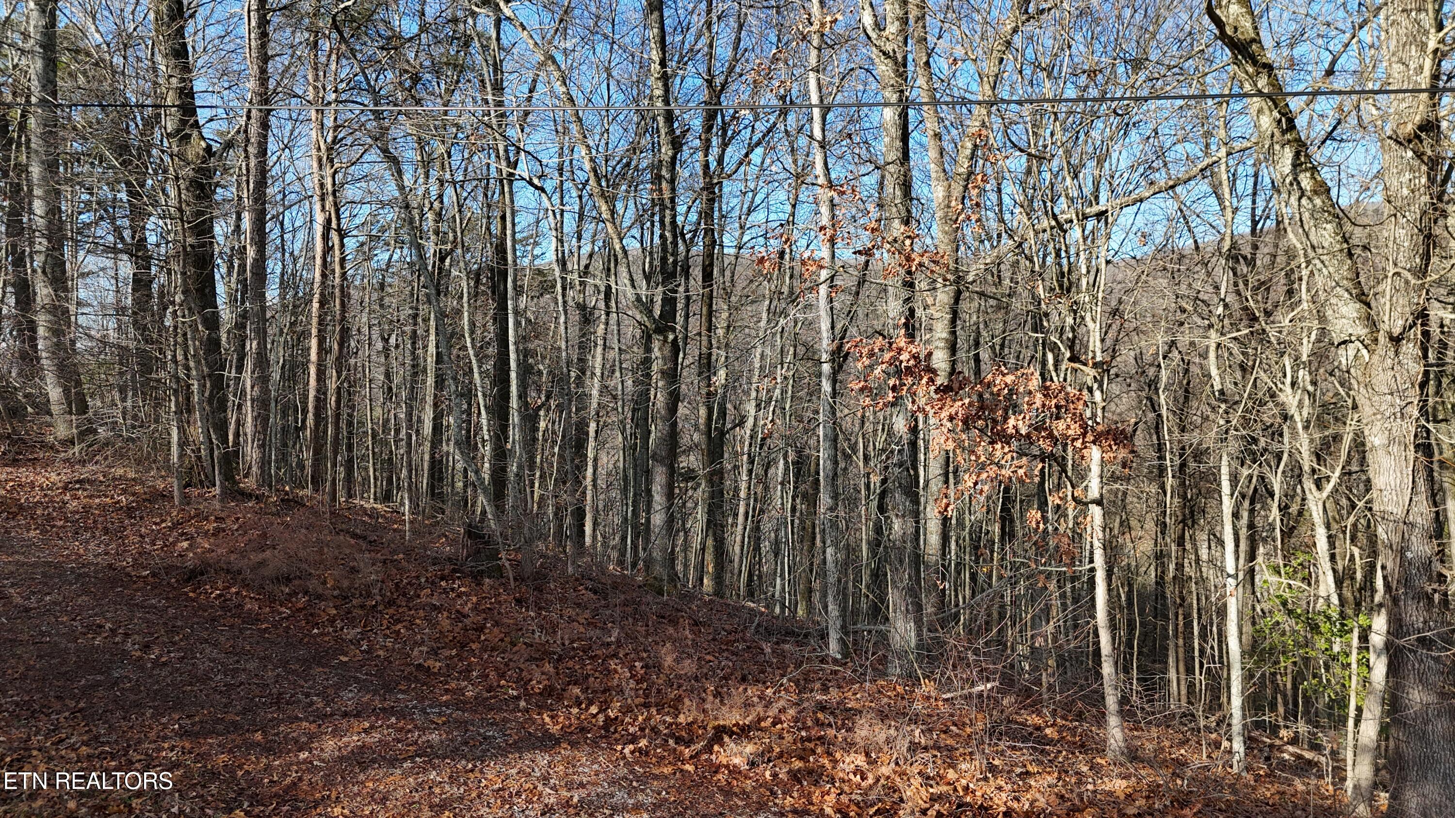 822 W Bates Street Rockwood TN 37854