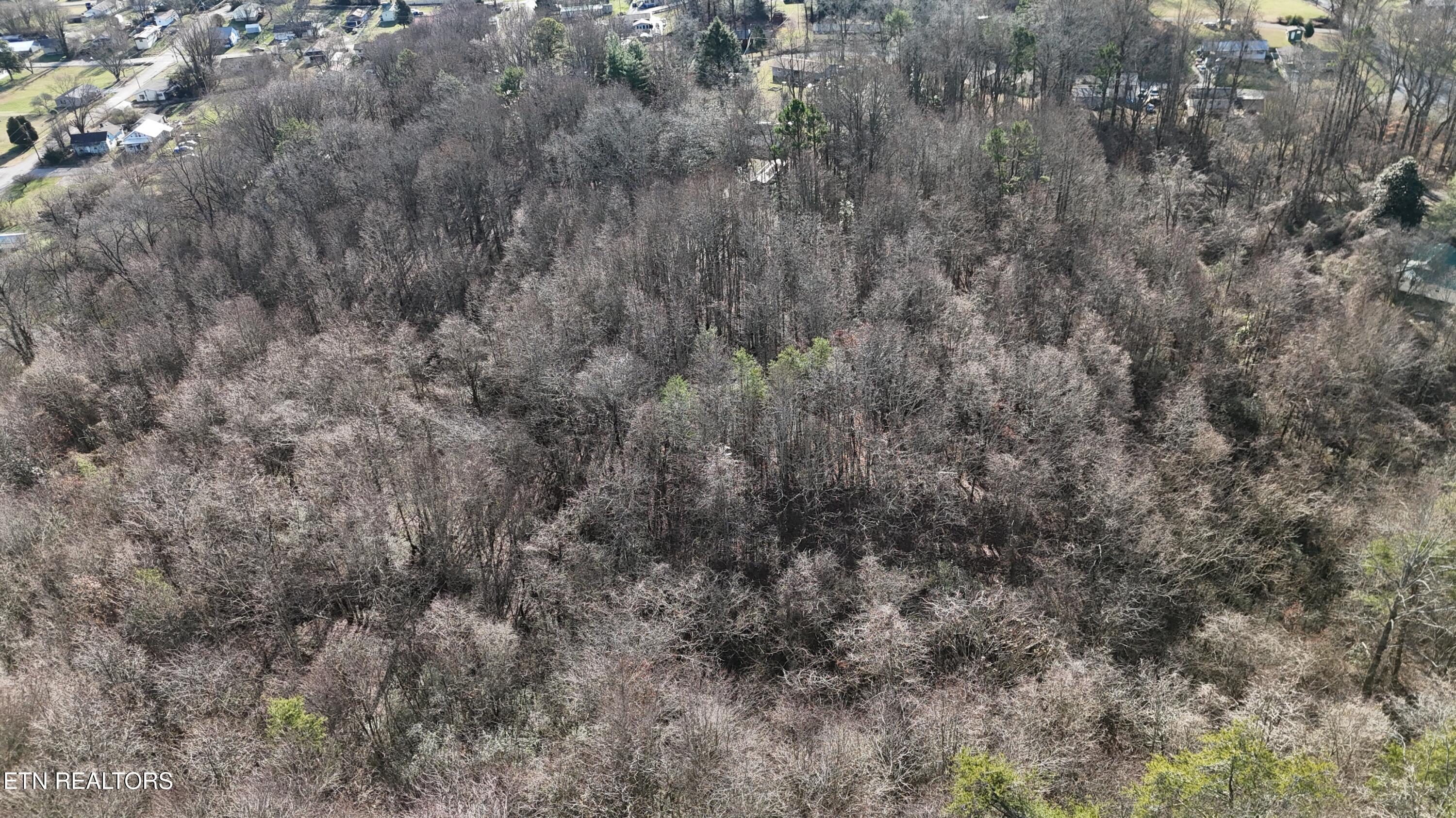 822 W Bates Street Rockwood TN 37854