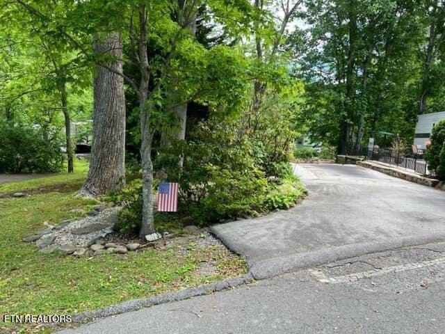 4224 E Parkway Gatlinburg TN 37738