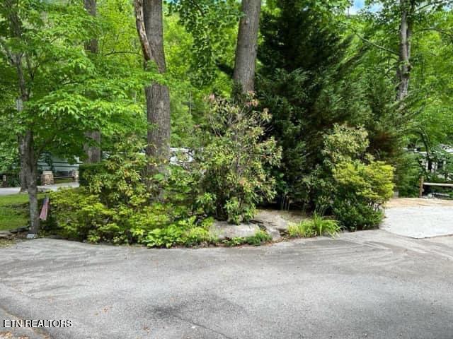 4224 E Parkway Gatlinburg TN 37738