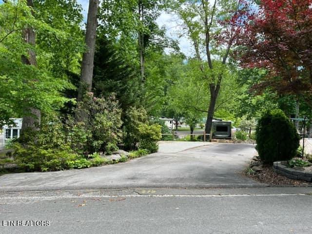 4224 E Parkway Gatlinburg TN 37738
