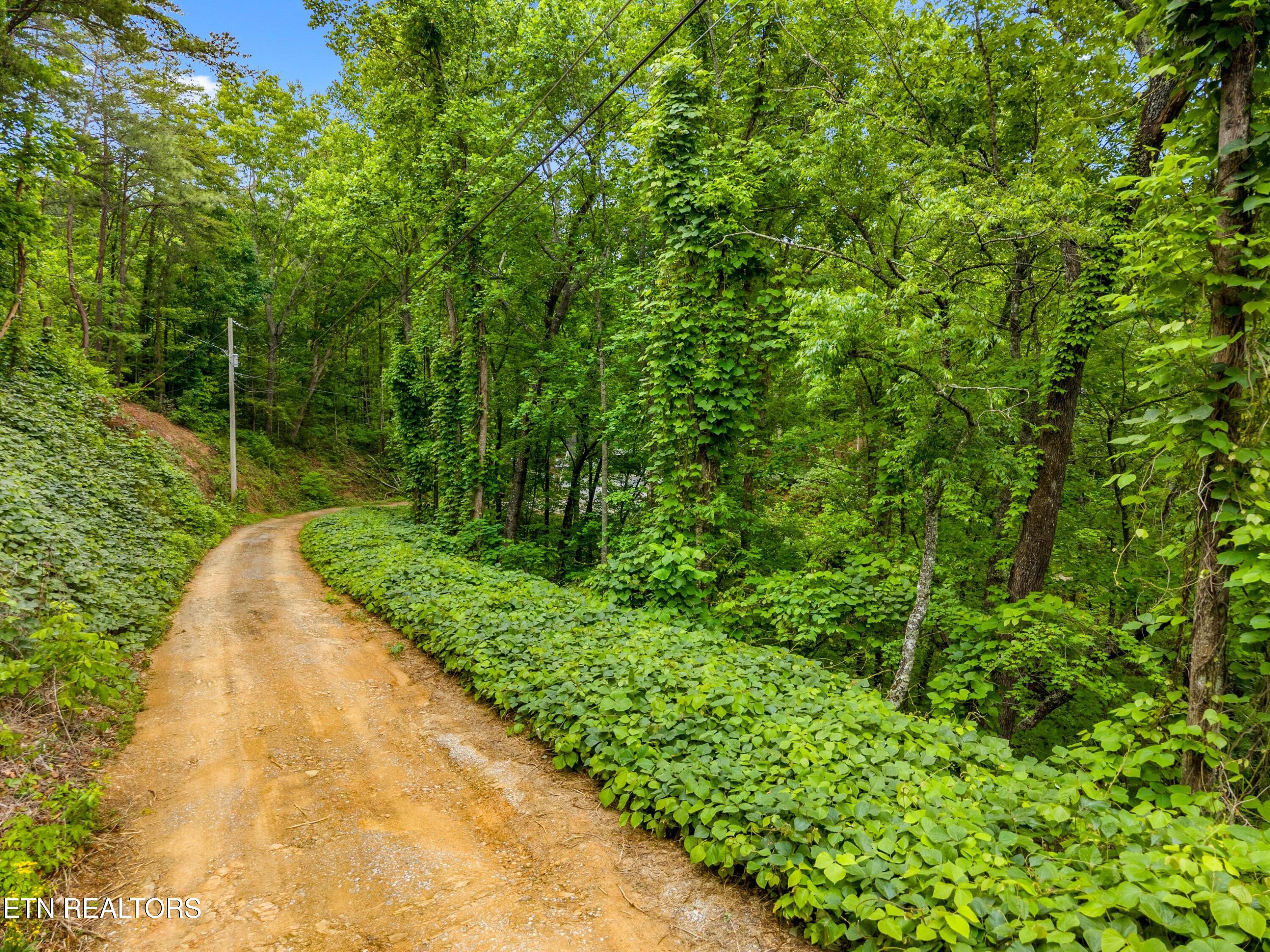 Lot 9ae Red Bone Way Sevierville TN 37876
