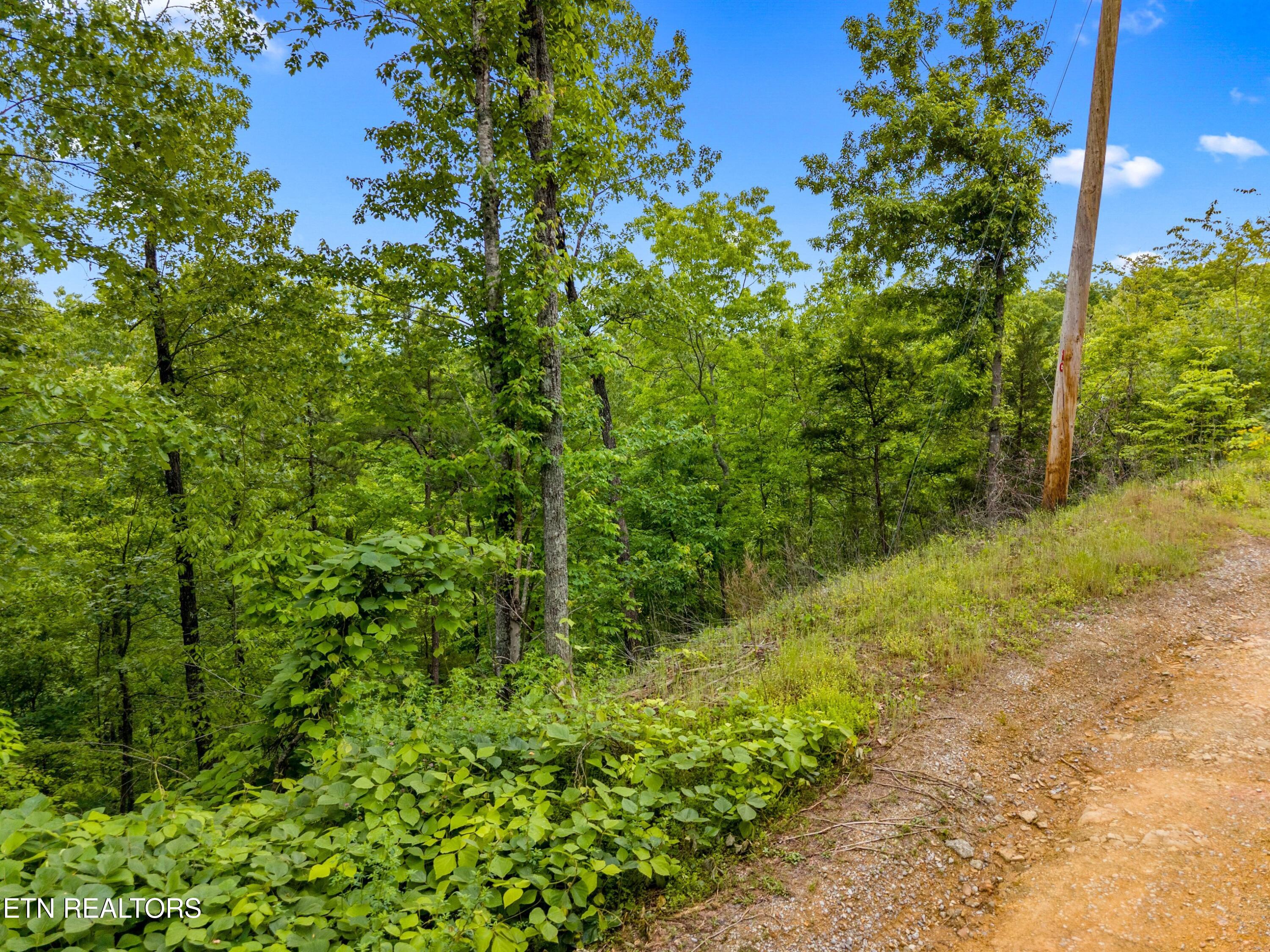 Lot 9ae Red Bone Way Sevierville TN 37876