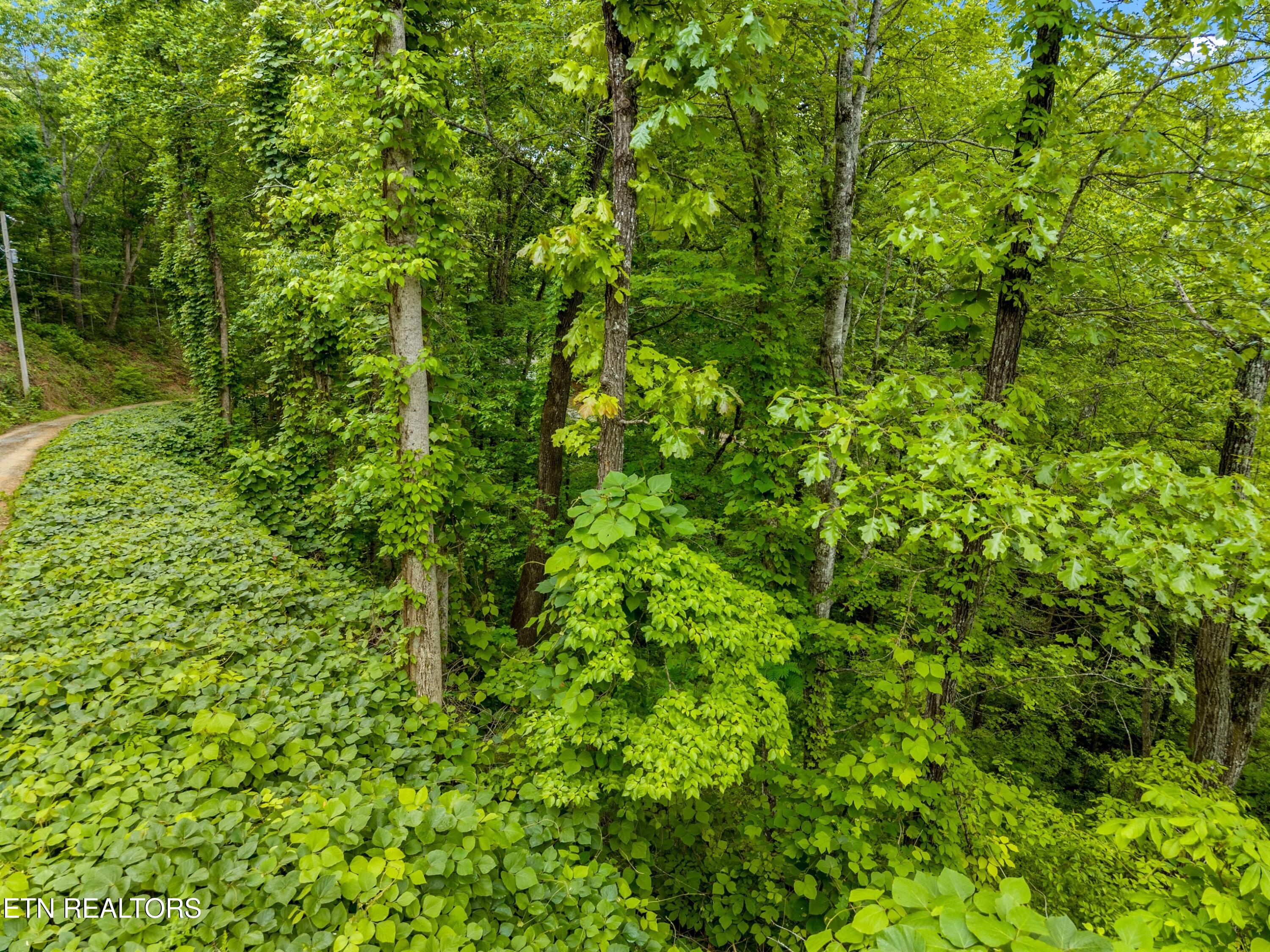 Lot 9ae Red Bone Way Sevierville TN 37876