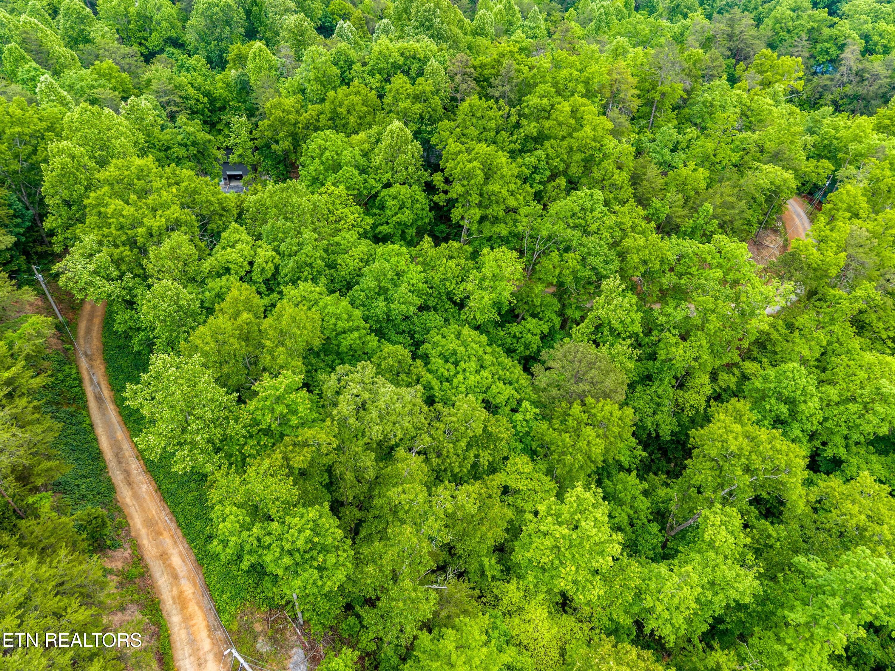 Lot 9ae Red Bone Way Sevierville TN 37876