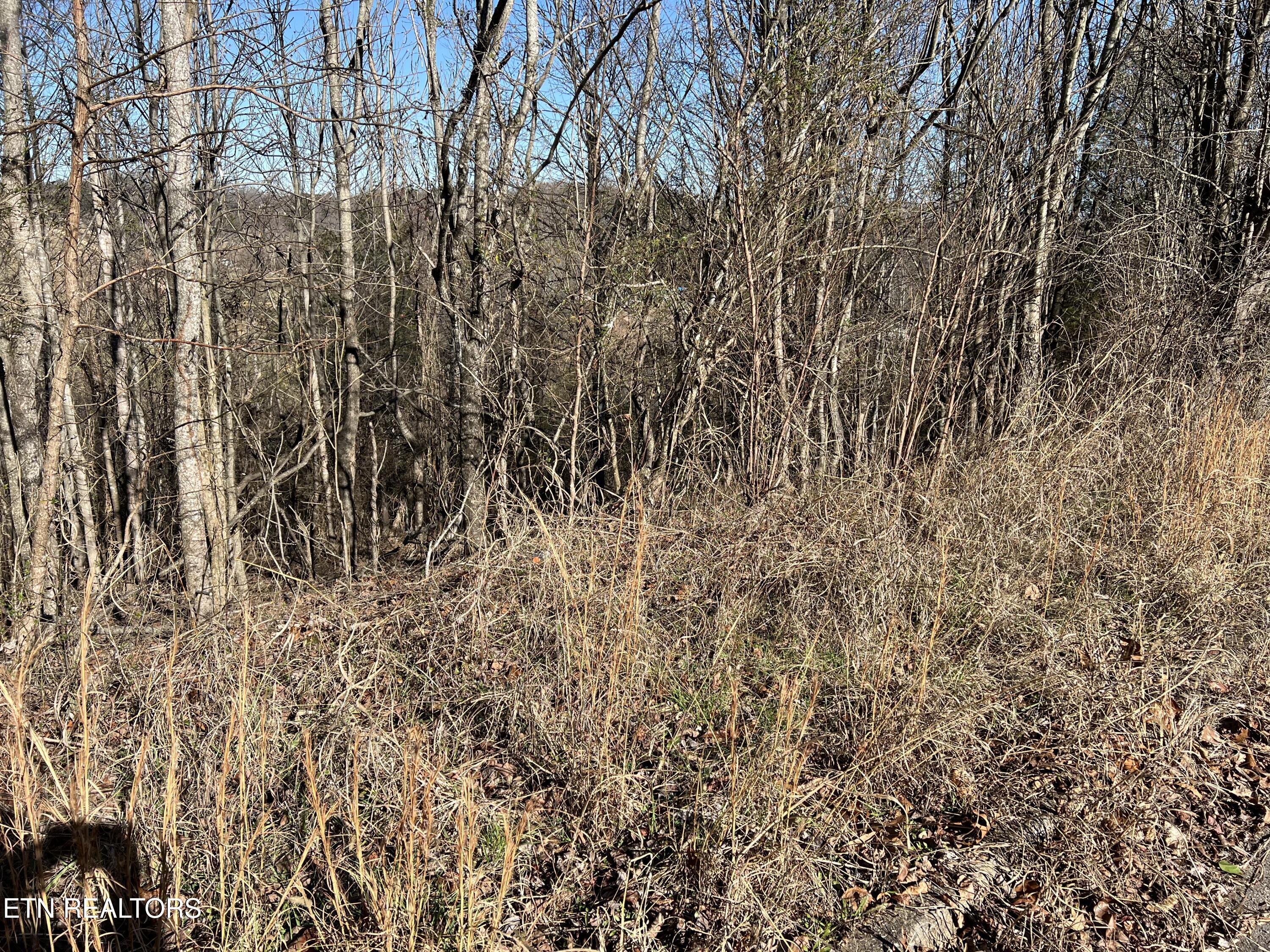 Baldwin View Drive New Market TN 37820