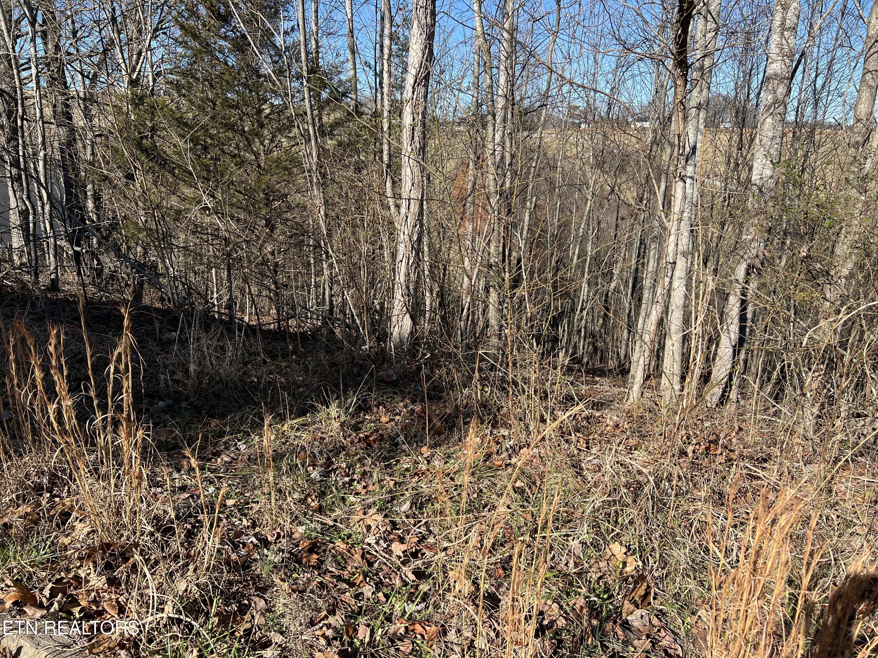 Baldwin View Drive New Market TN 37820