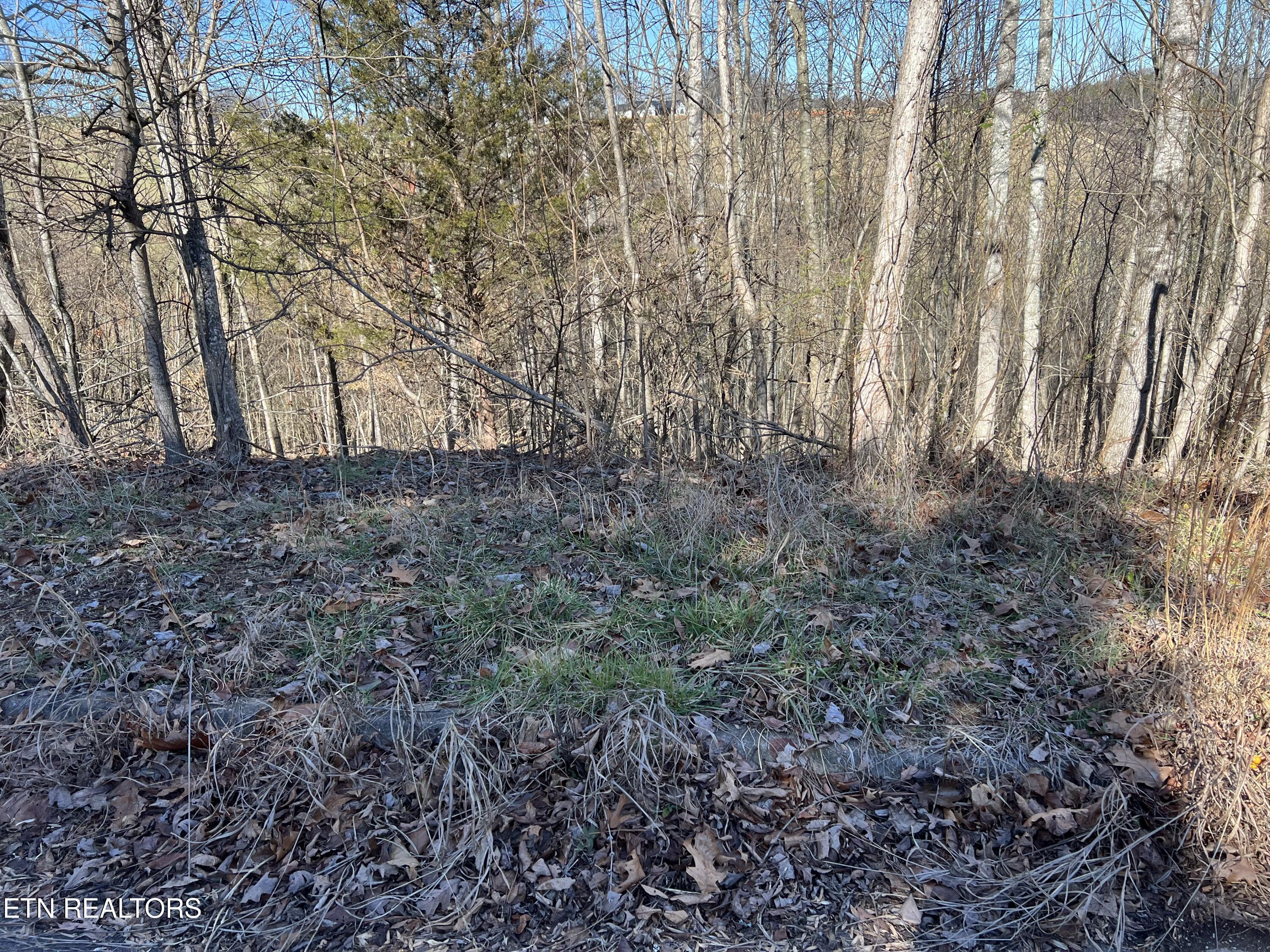 Baldwin View Drive New Market TN 37820