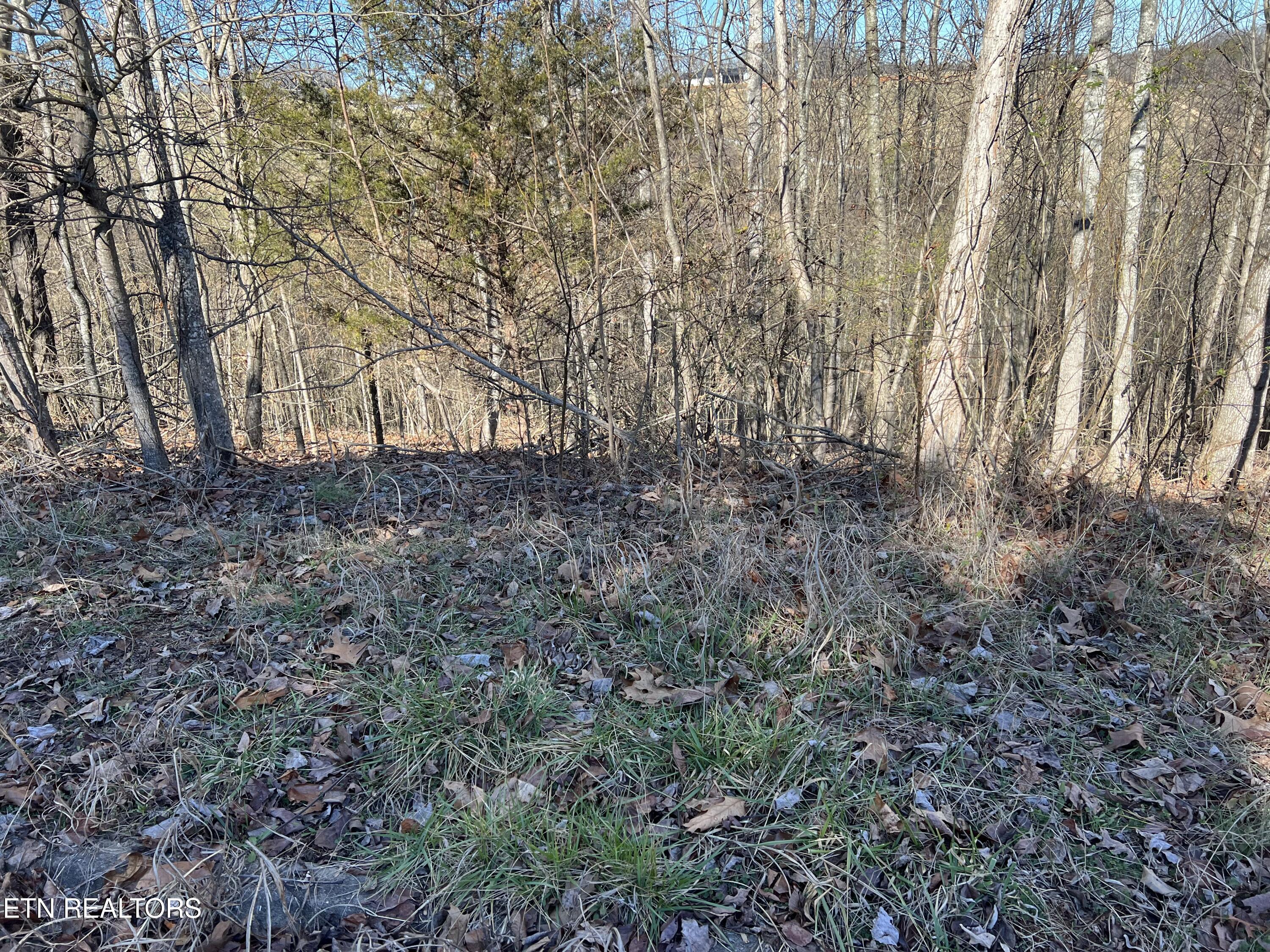 Baldwin View Drive New Market TN 37820