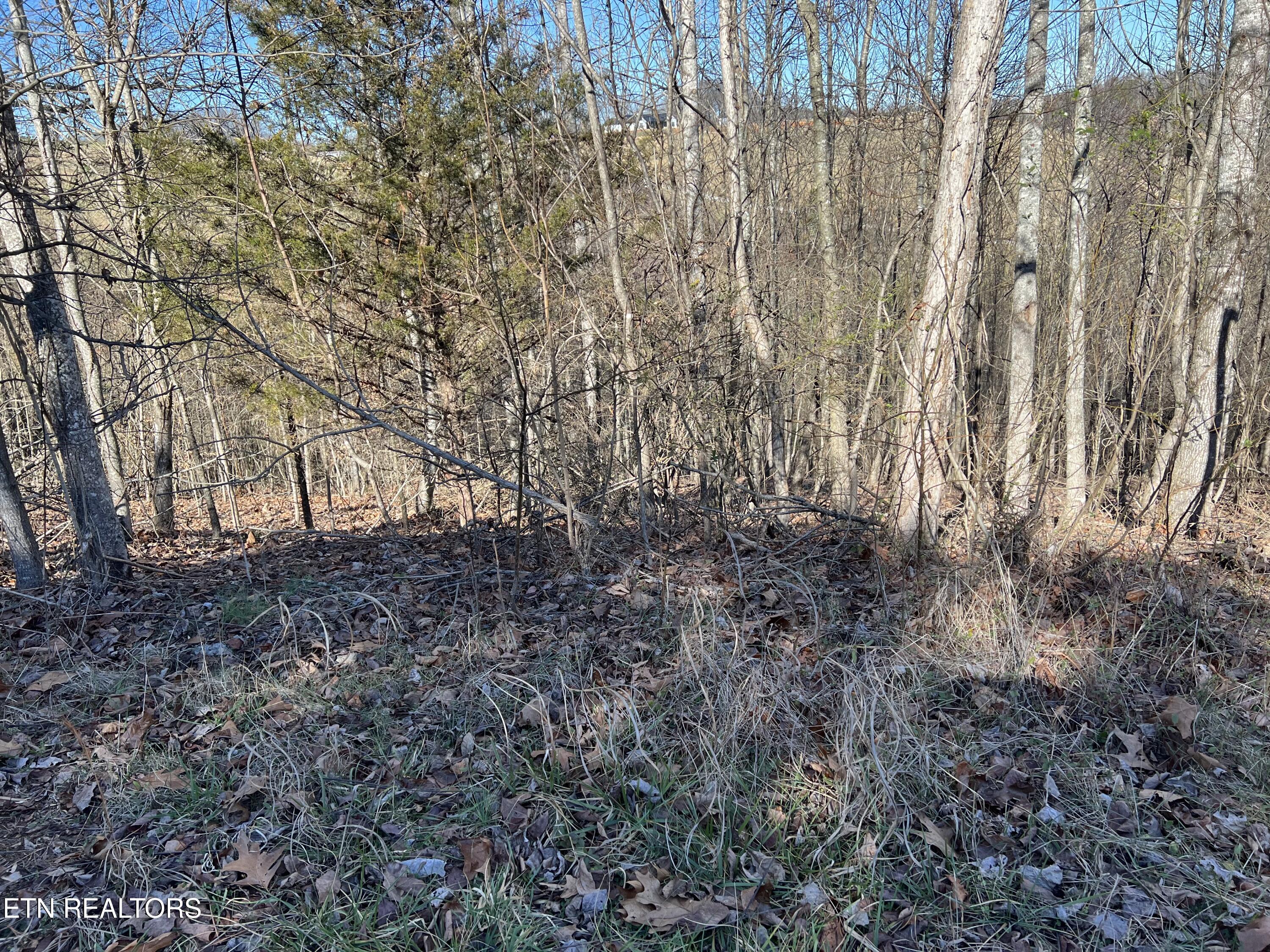 Baldwin View Drive New Market TN 37820