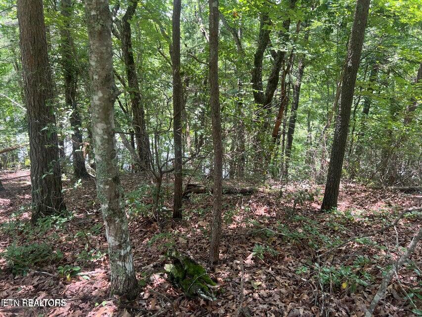 104 Chatham Lane Fairfield Glade TN 38558