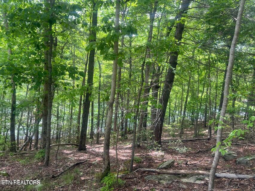 104 Chatham Lane Fairfield Glade TN 38558