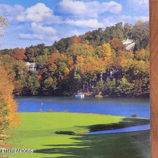 104 Chatham Lane Fairfield Glade TN 38558