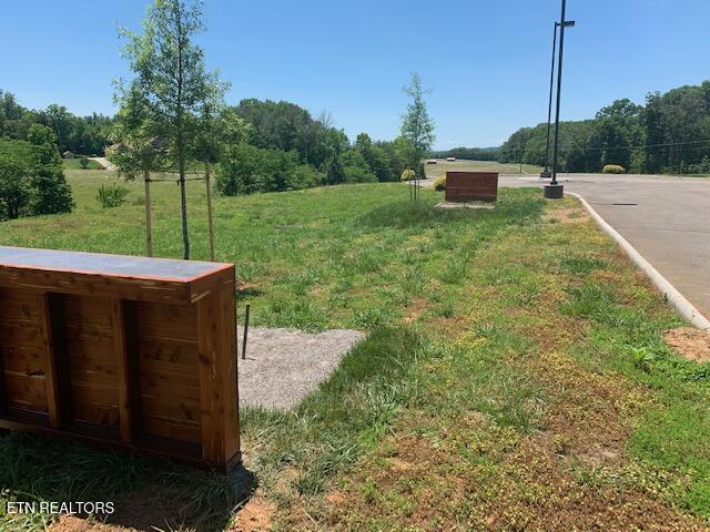 1501 New Hope Road Rockwood TN 37854