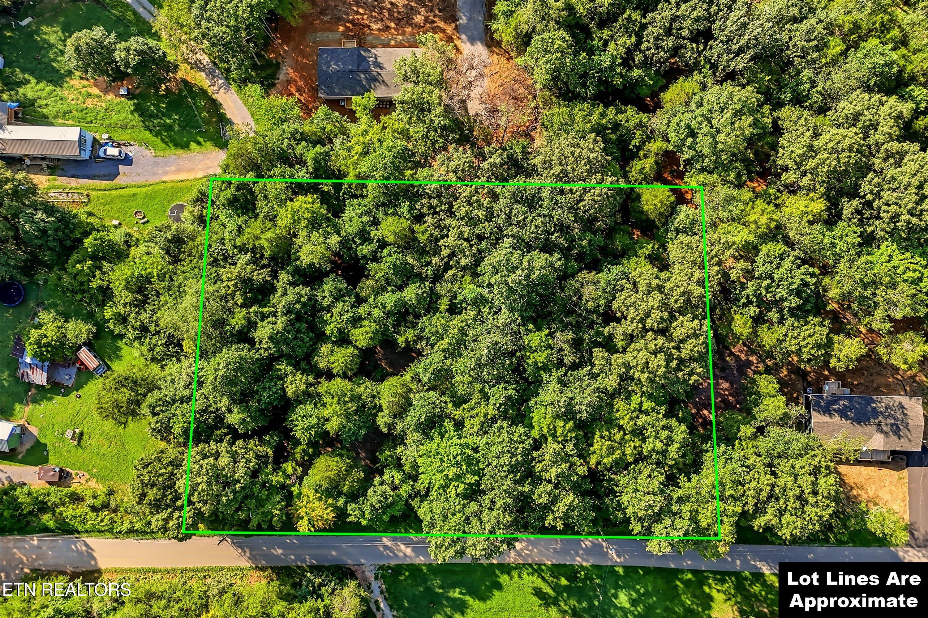 161 Pinecrest Drive Loudon TN 37774