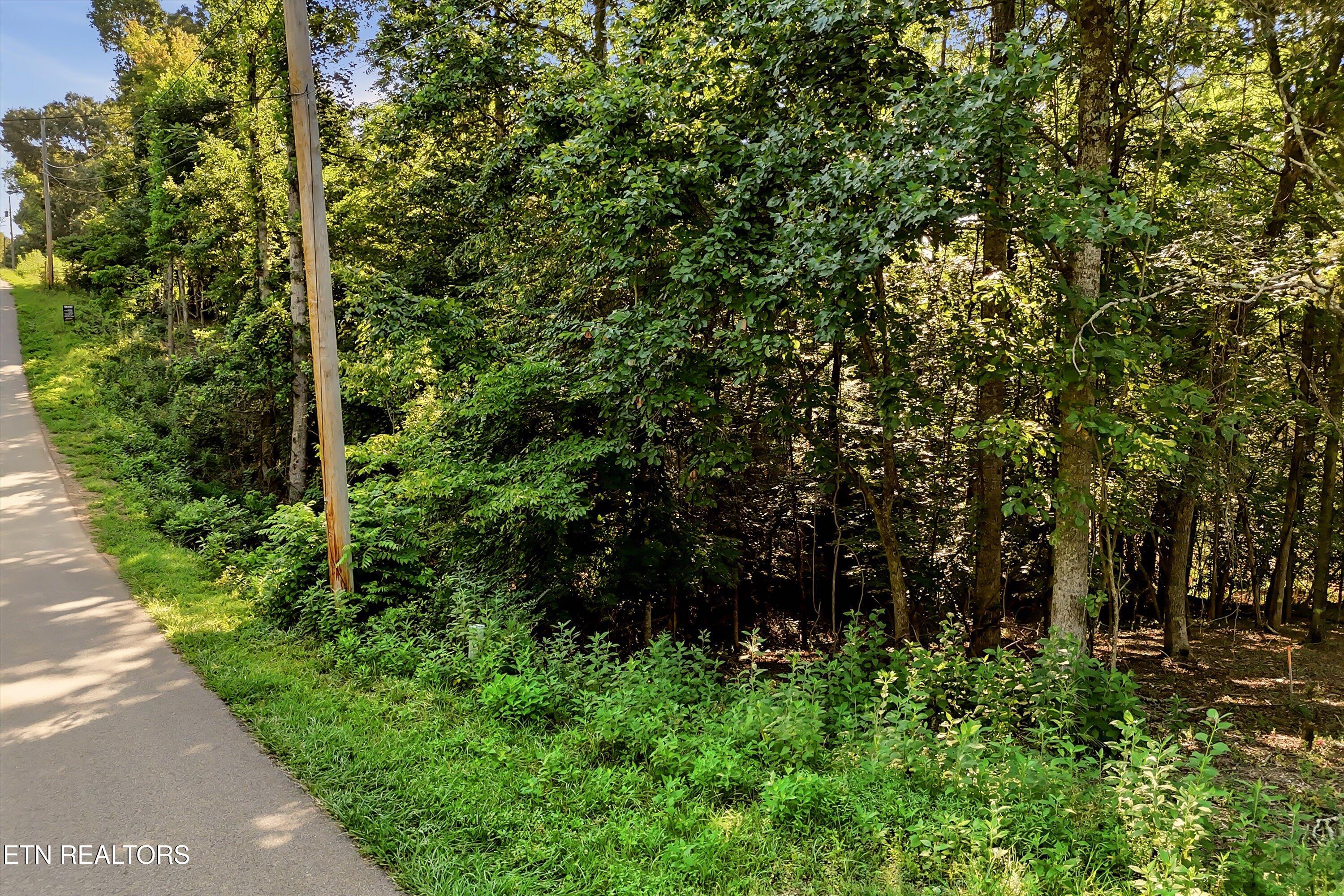 161 Pinecrest Drive Loudon TN 37774