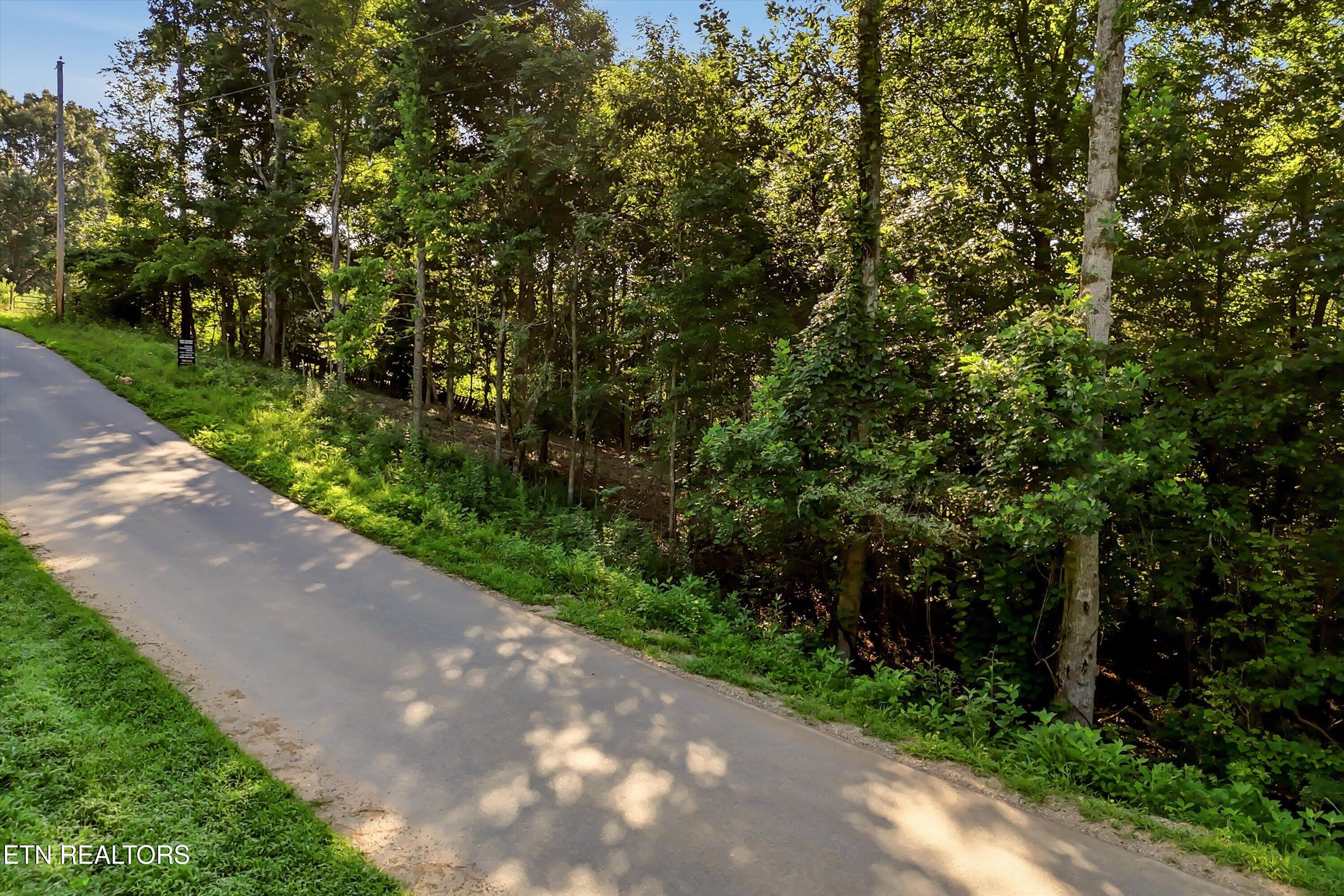 161 Pinecrest Drive Loudon TN 37774