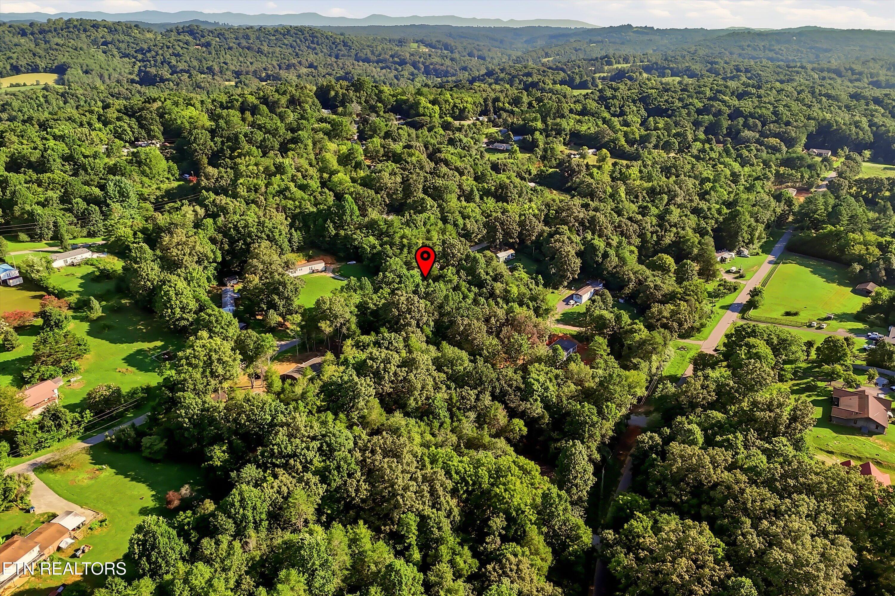 161 Pinecrest Drive Loudon TN 37774