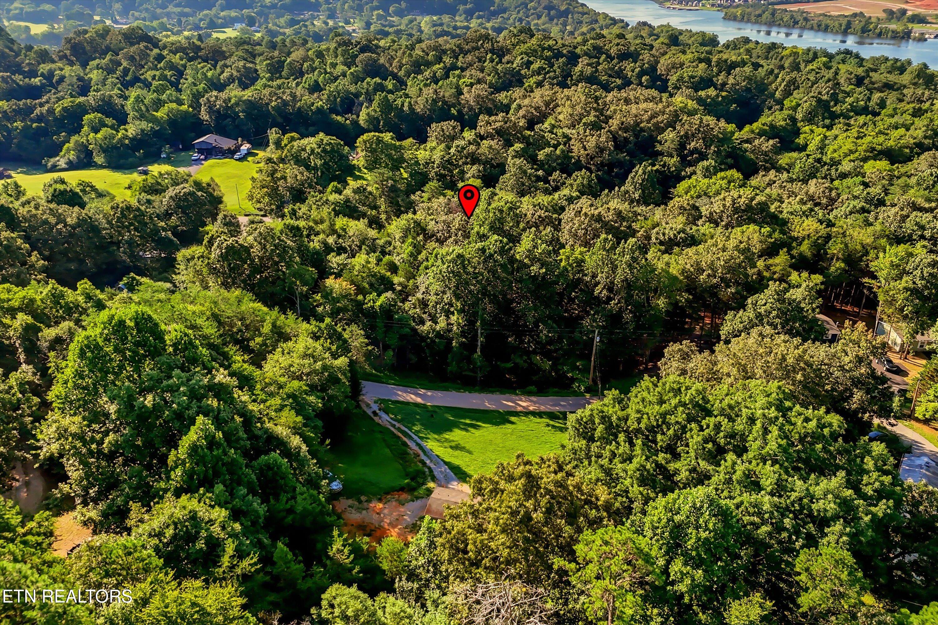 161 Pinecrest Drive Loudon TN 37774