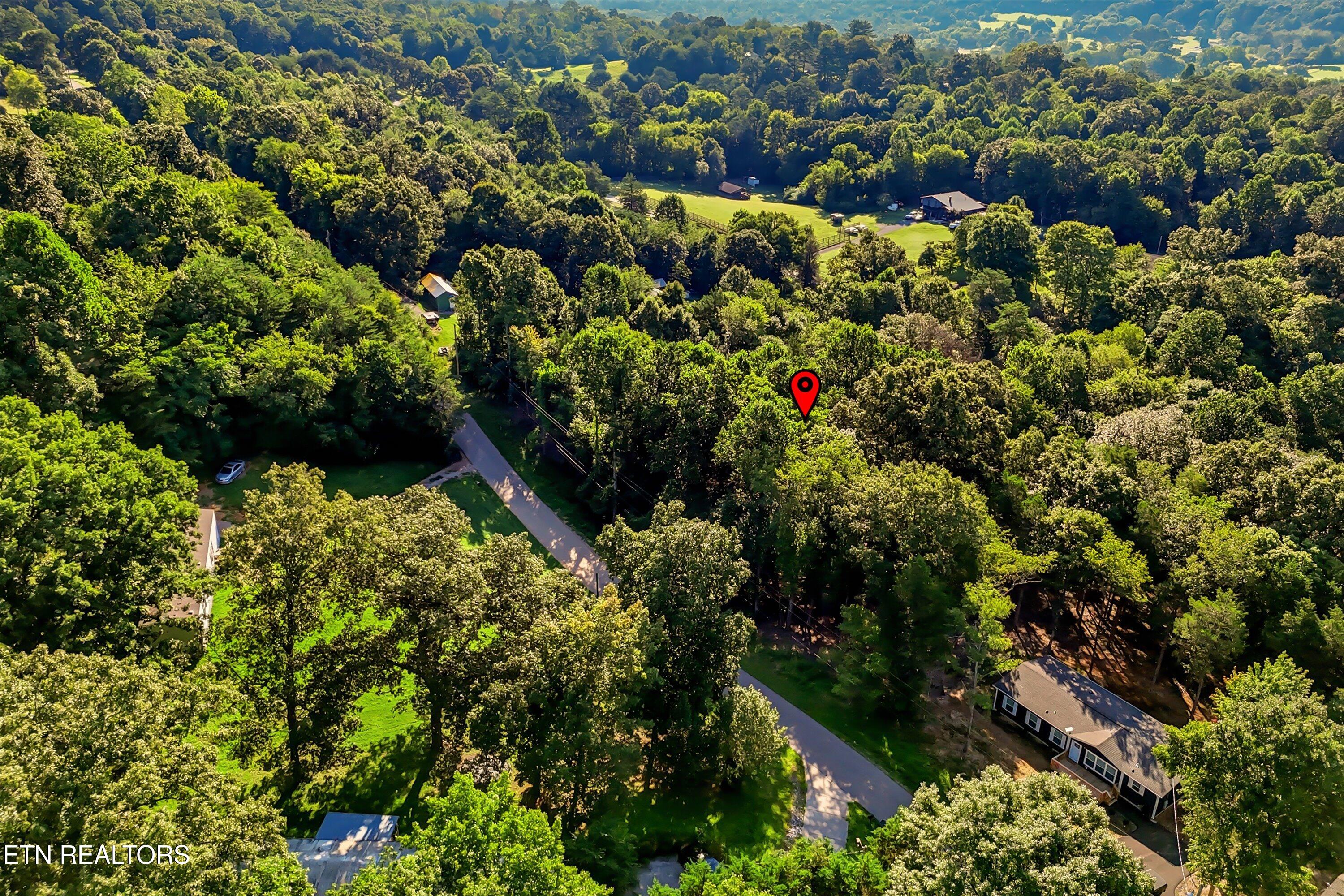 161 Pinecrest Drive Loudon TN 37774