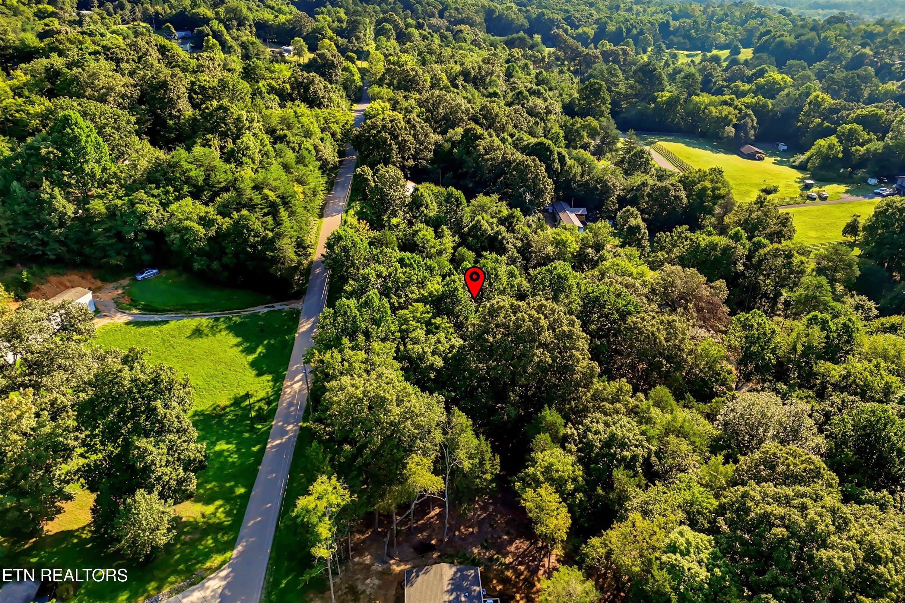161 Pinecrest Drive Loudon TN 37774