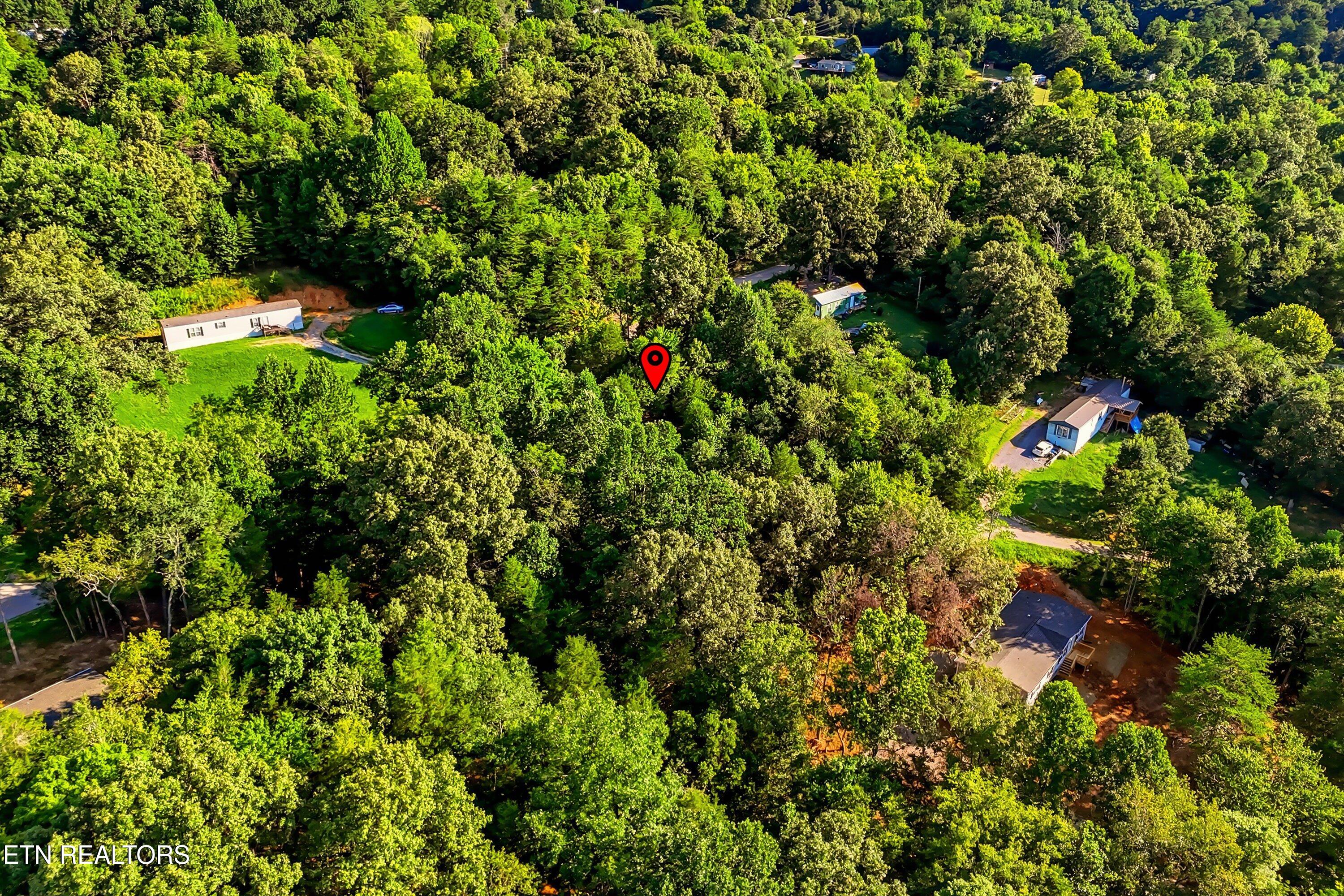161 Pinecrest Drive Loudon TN 37774